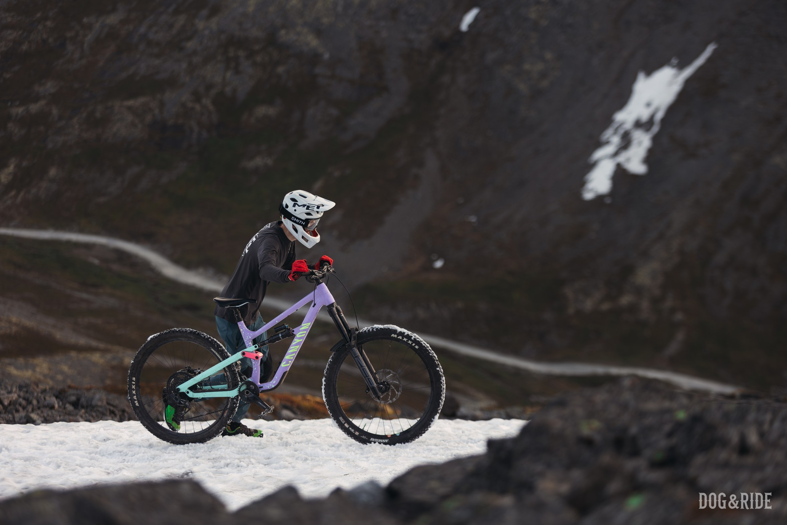 Хибины. Фотограф анималист Никита Натальный