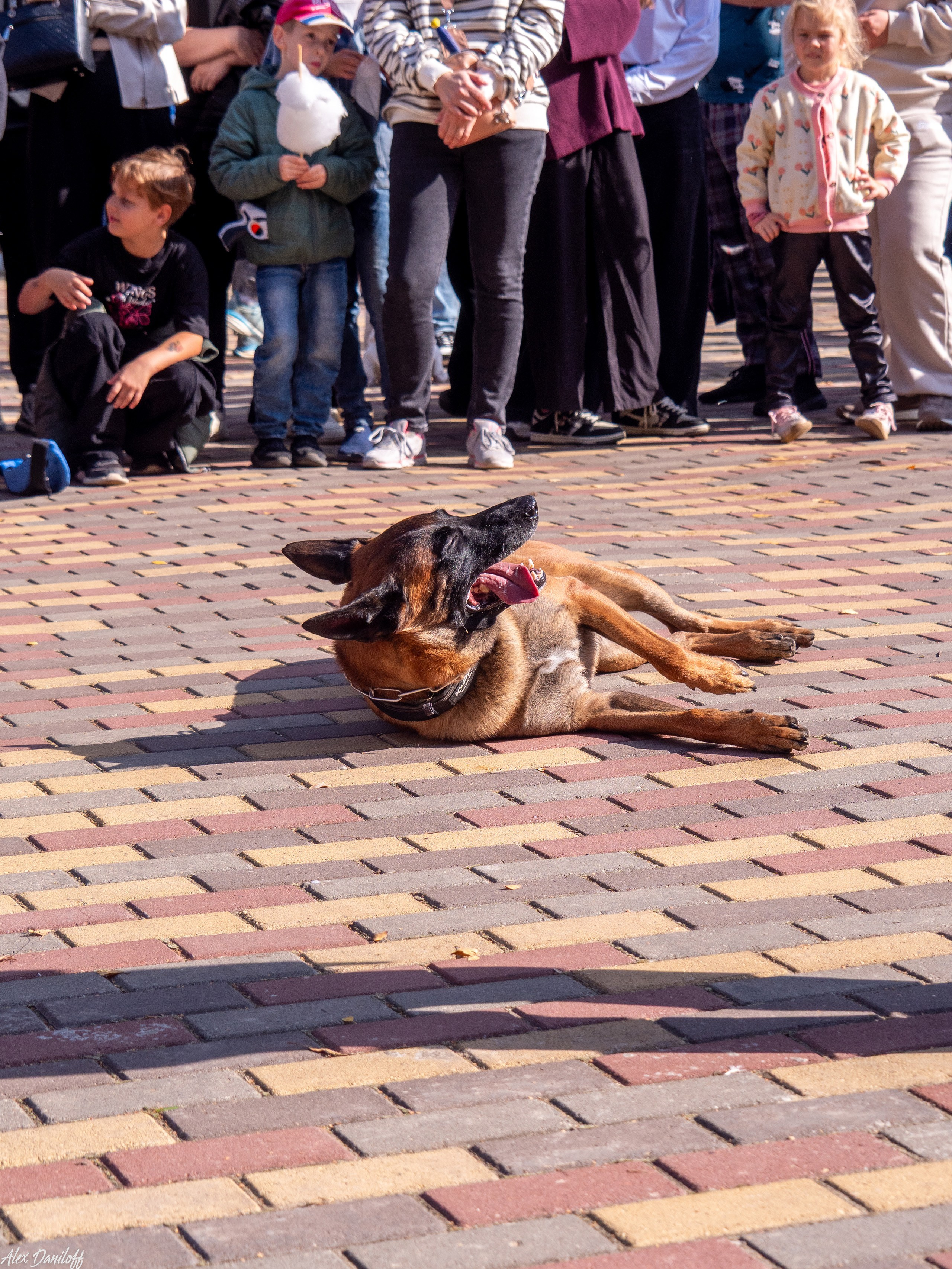 Обнимака 2025. Муром-Инфо. Новости культуры, образования, спорта в городе Муром
