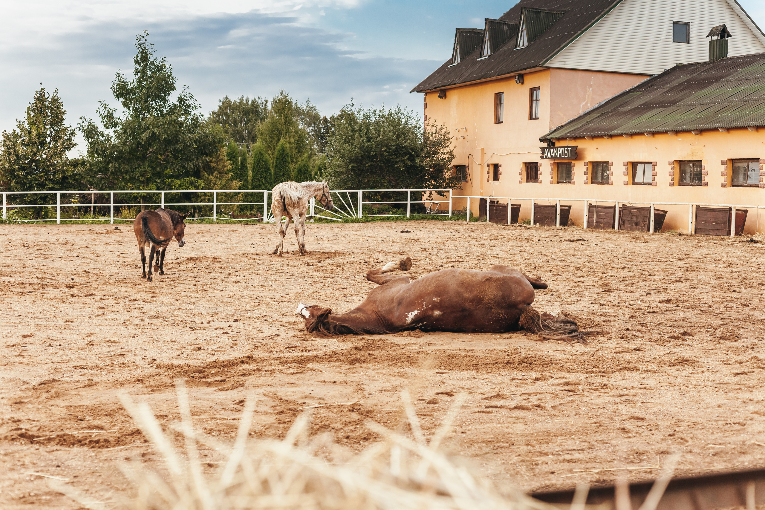 Аванпост. Фотограф в Москве Ольга Барановская