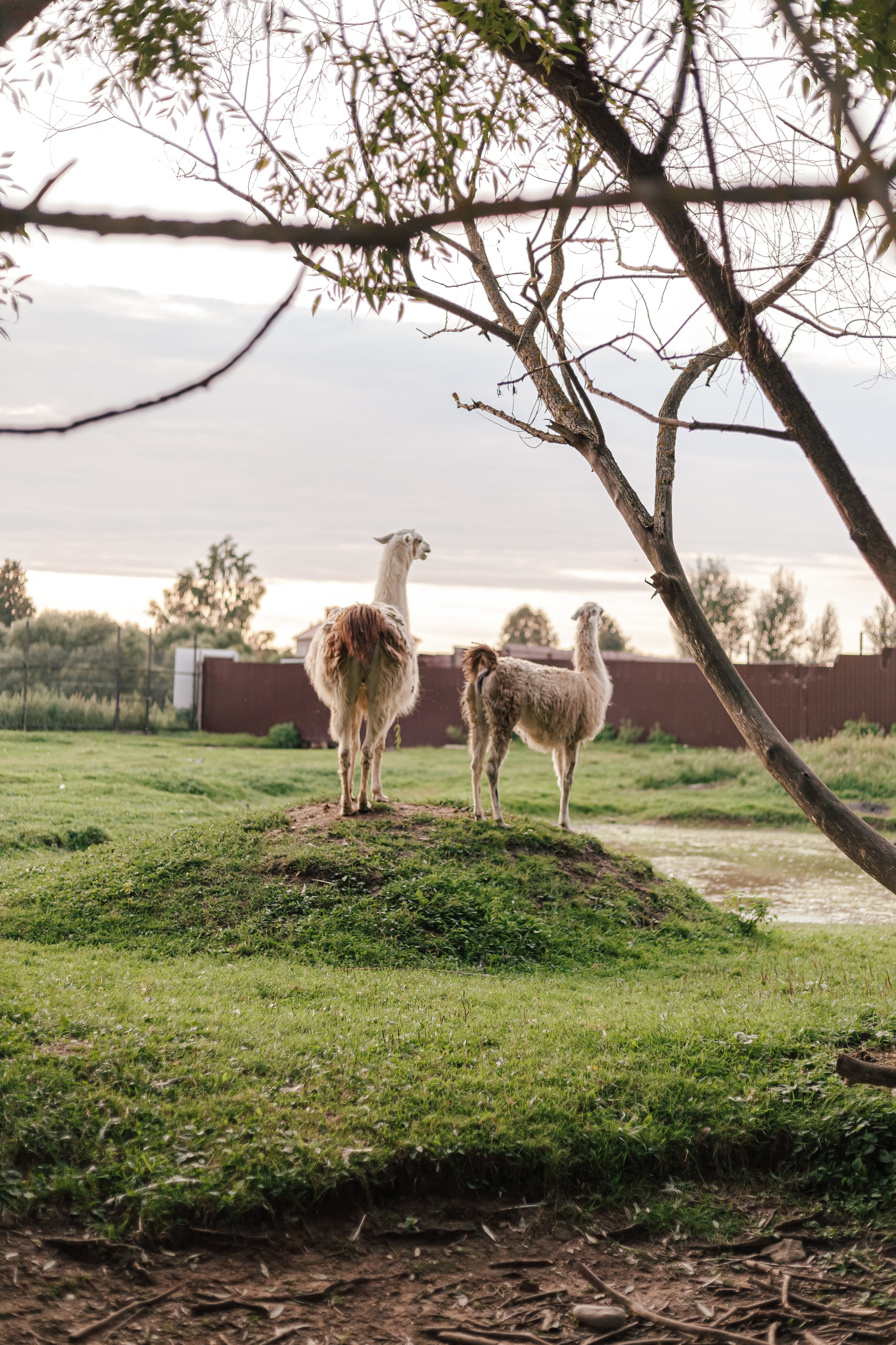 Аванпост. Фотограф в Москве Ольга Барановская