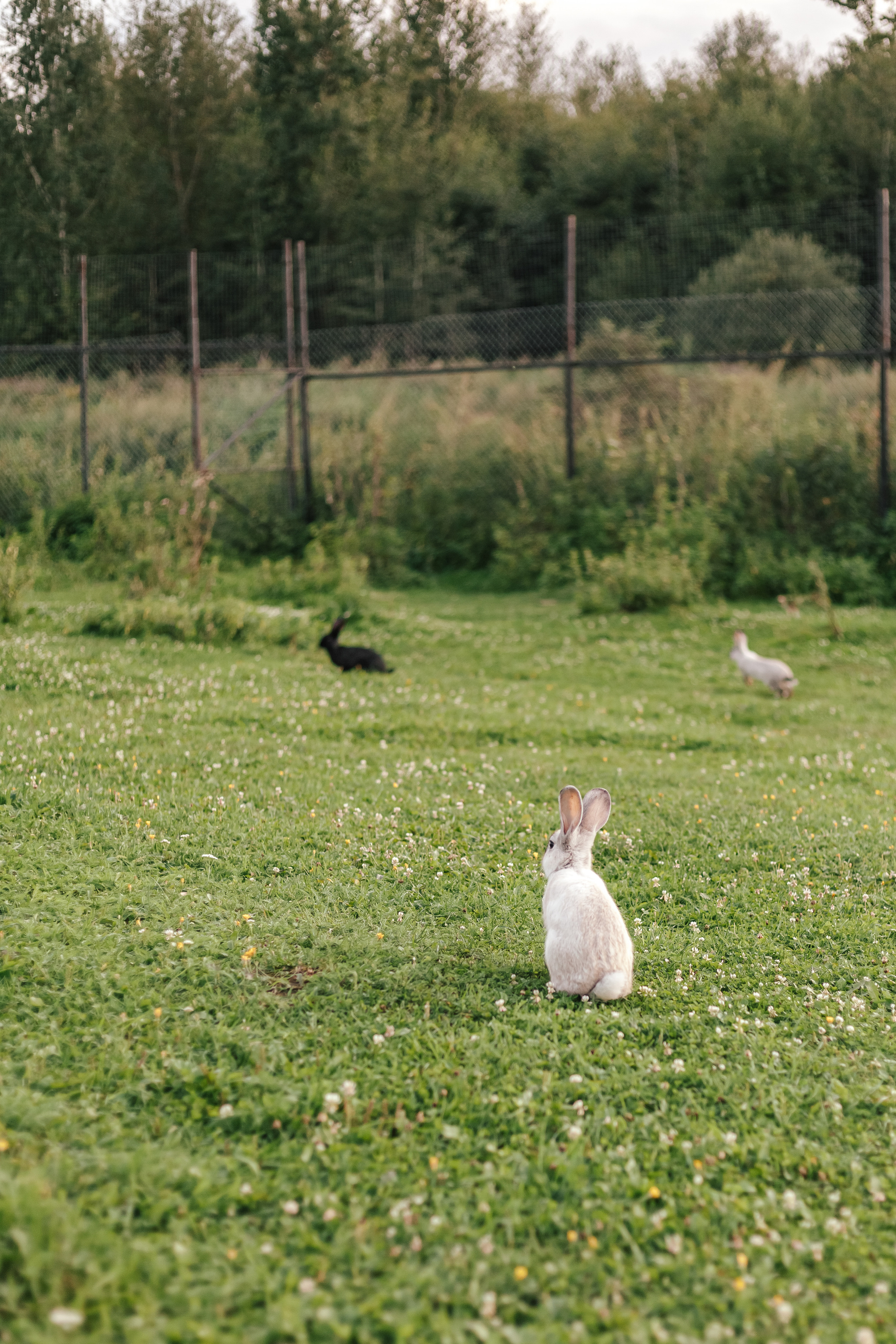 Аванпост. Фотограф в Москве Ольга Барановская