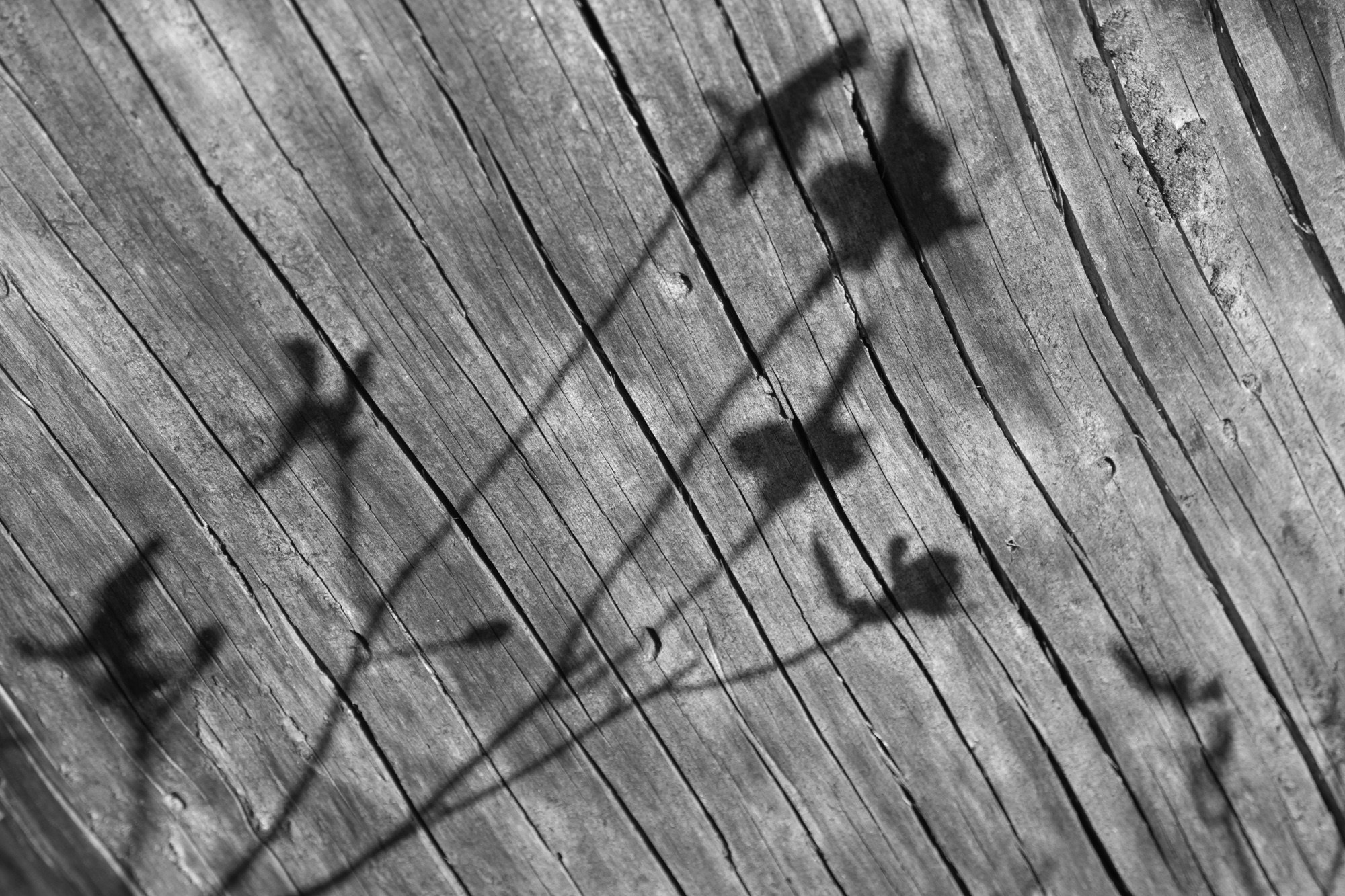 Якутия. Фотограф Алексей Скоробогатько