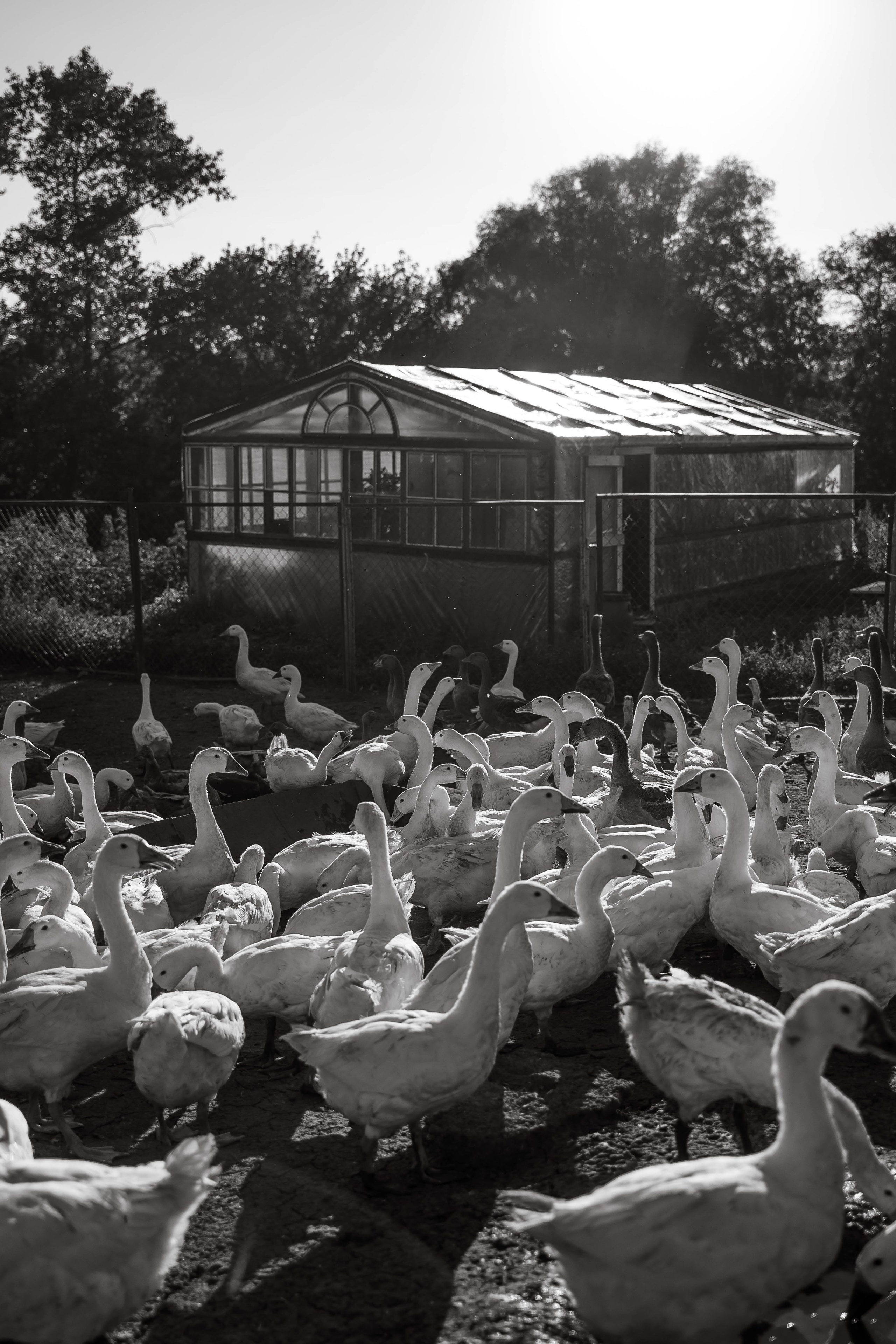 Любовь и лимоны. Свадебный и семейный фотограф