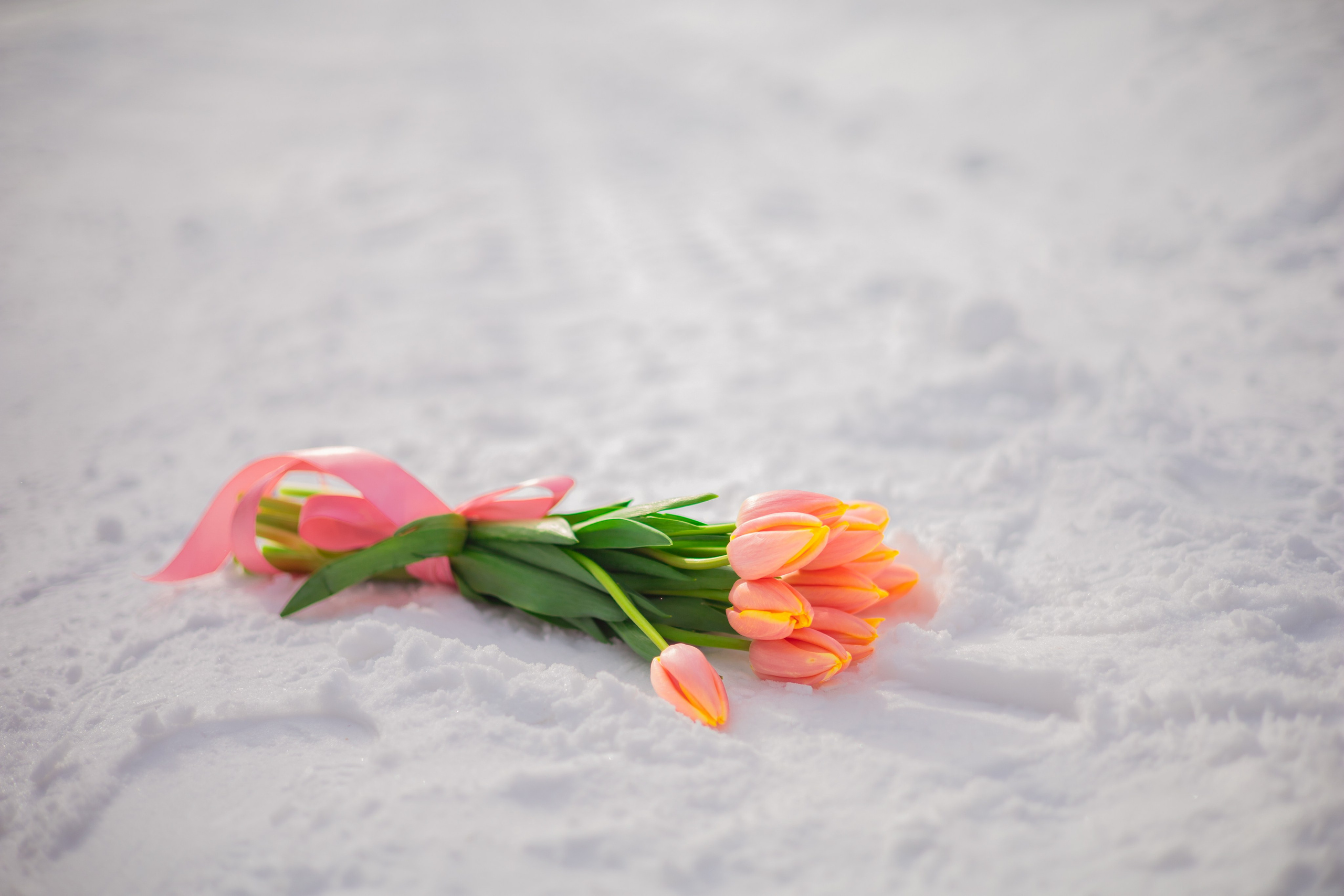 Даня и Поля тюльпаны. Семейный и детский фотограф в Михайловке Татьяна Лестьева