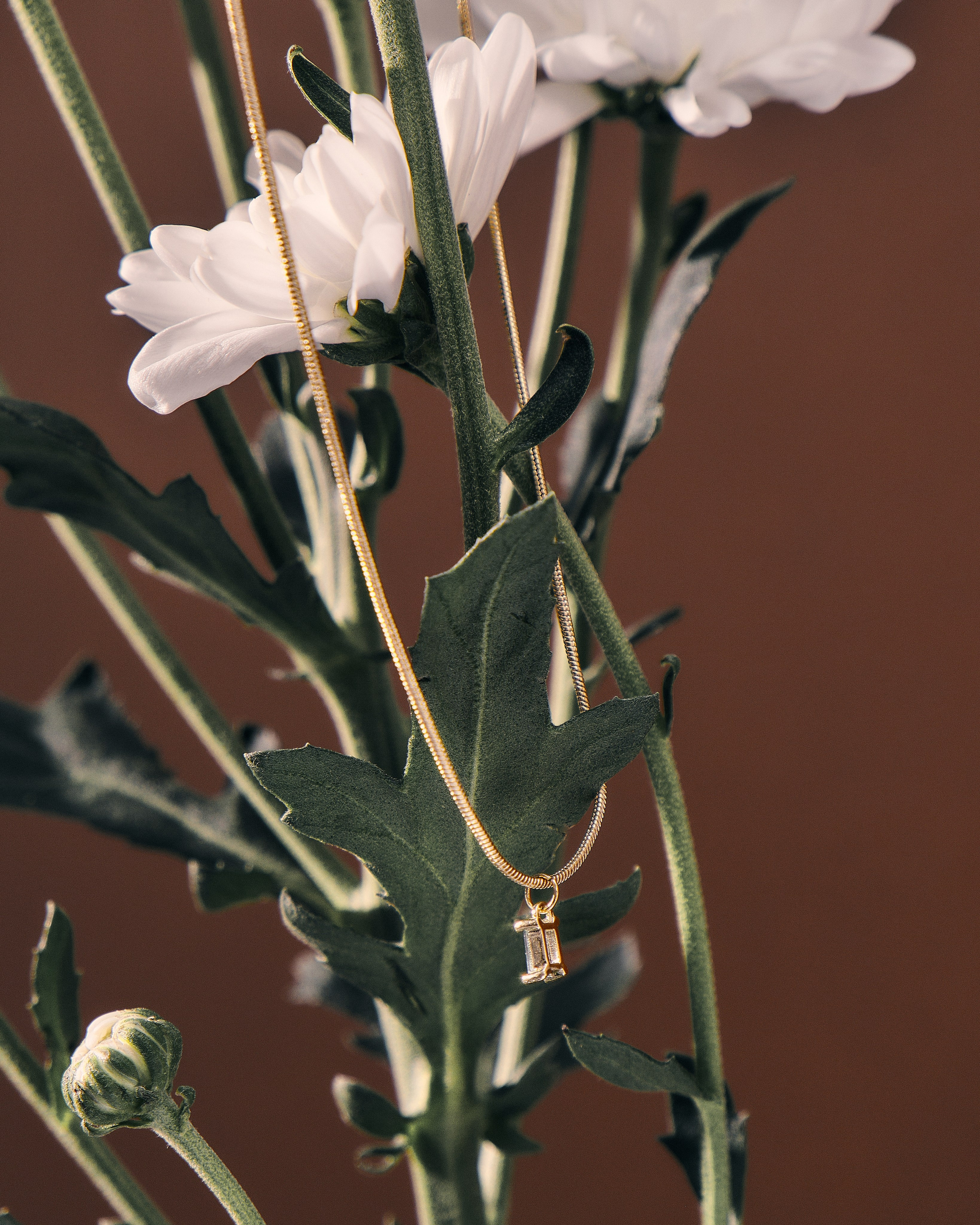 · OBJECTS ·. Фотограф и арт-директор в Алматы