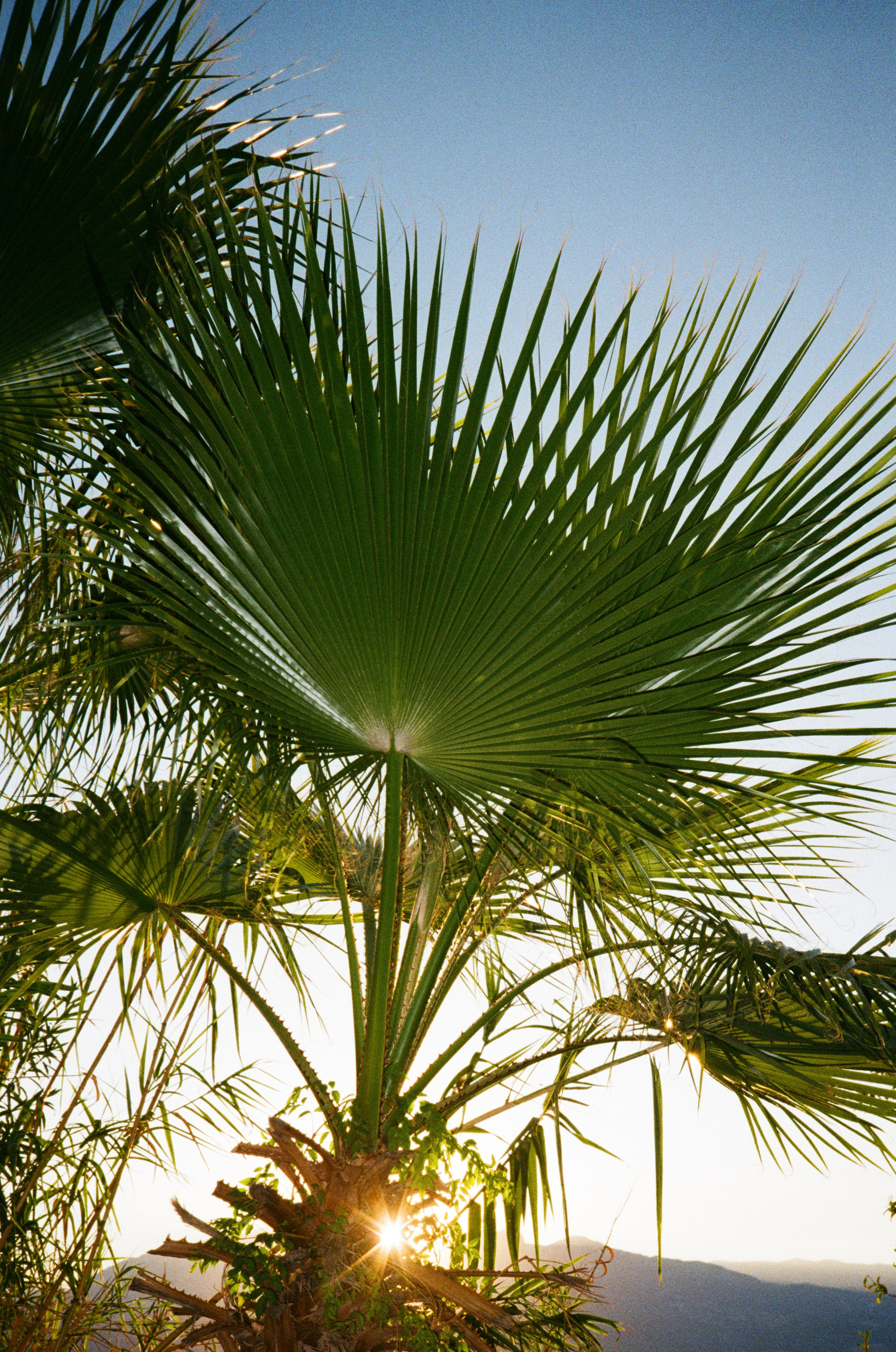 Once in October. Wedding & Documentary Photographer based in Nuremberg — available across Europe & Turkey | Vitalii Nasonov