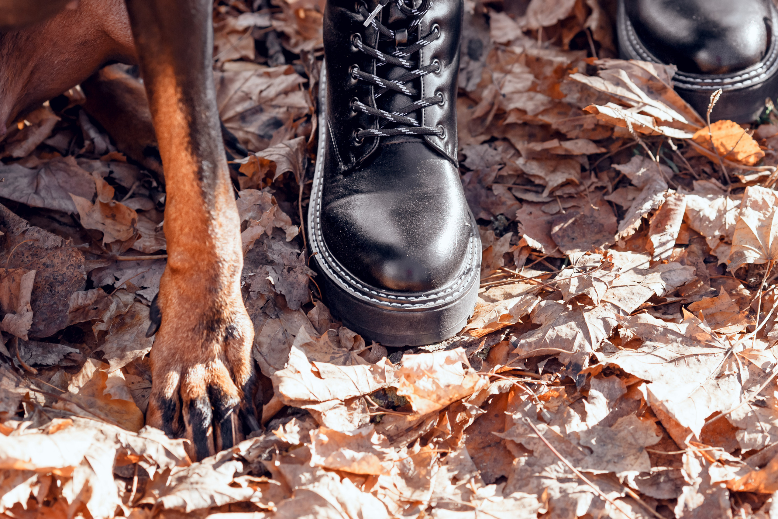Таня и Юкка. Свадебный, семейный и репортажный фотограф Галобурда Юрий