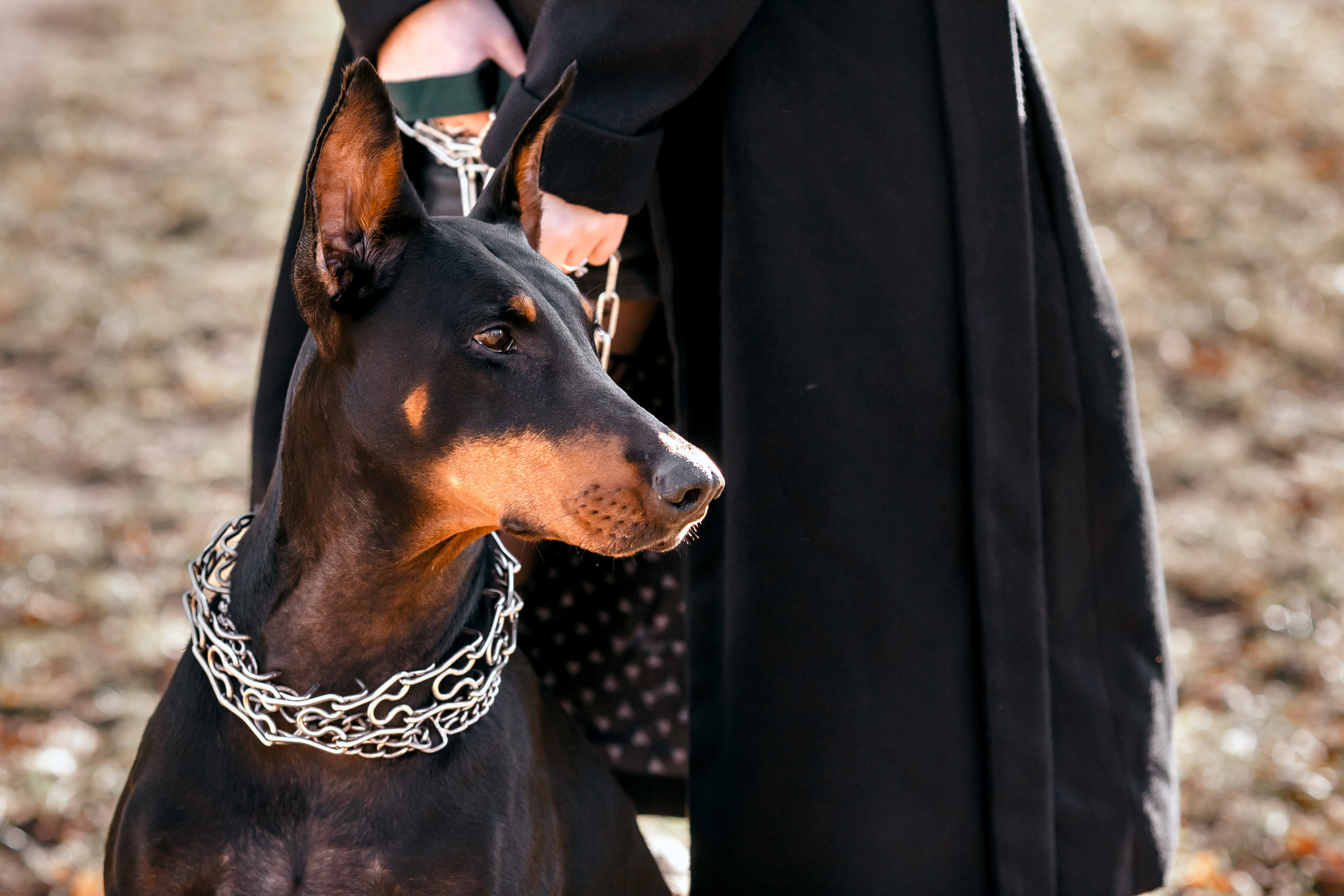 Таня и Юкка. Свадебный, семейный и репортажный фотограф Галобурда Юрий