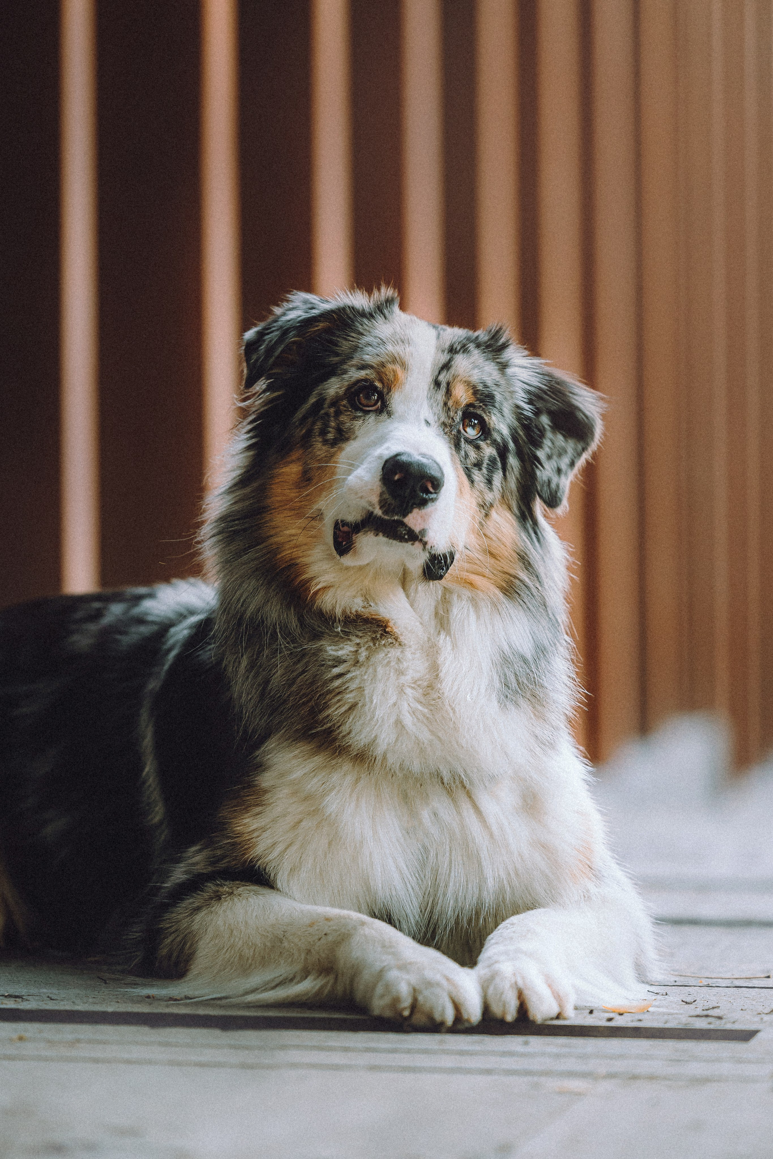 Саша, Рома и Один