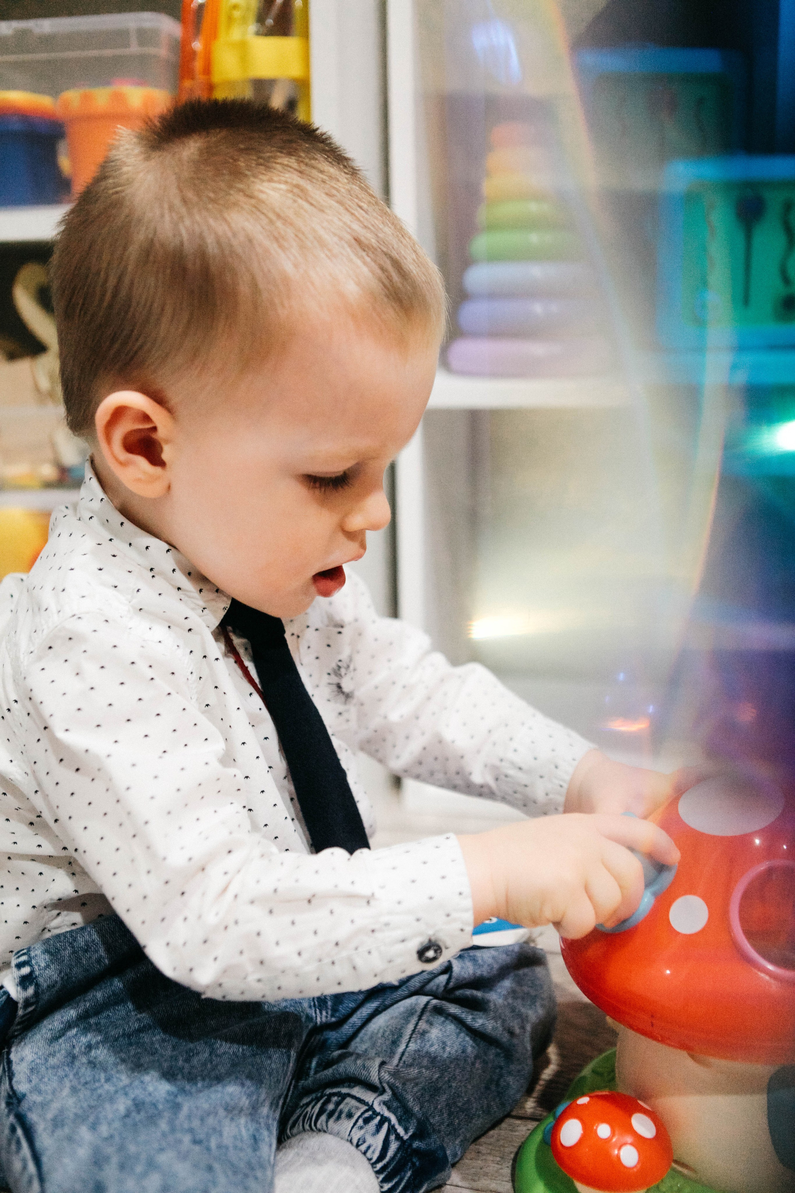 Лев. Фотограф Ольга Крукле