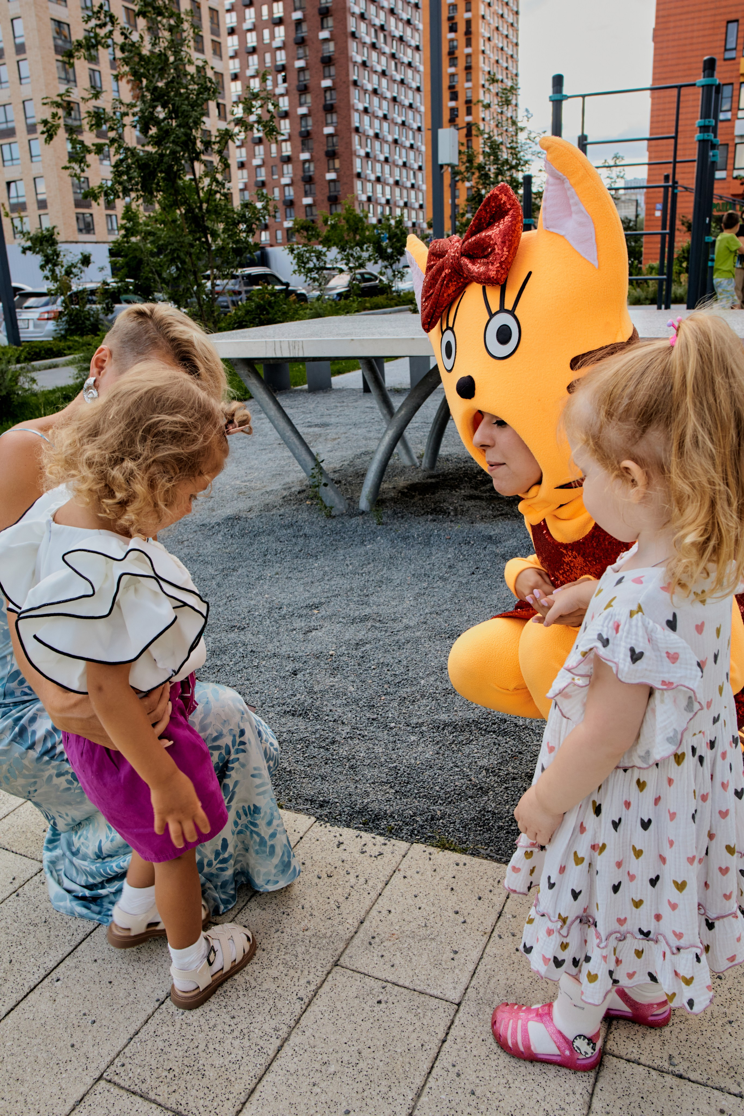 Три кота. Фотограф Москва