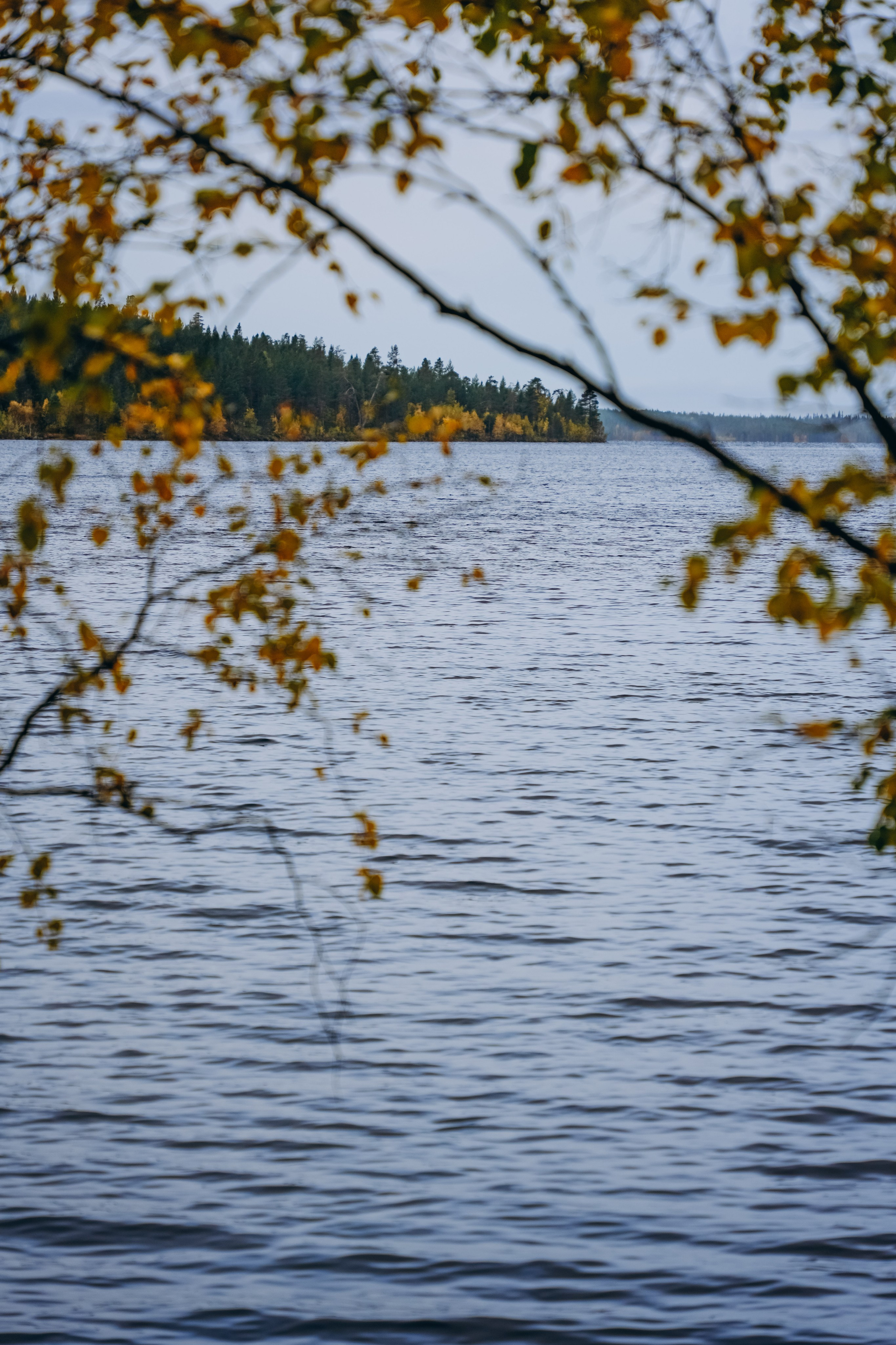 СЕВЕР. Event фотограф Степанова Александра