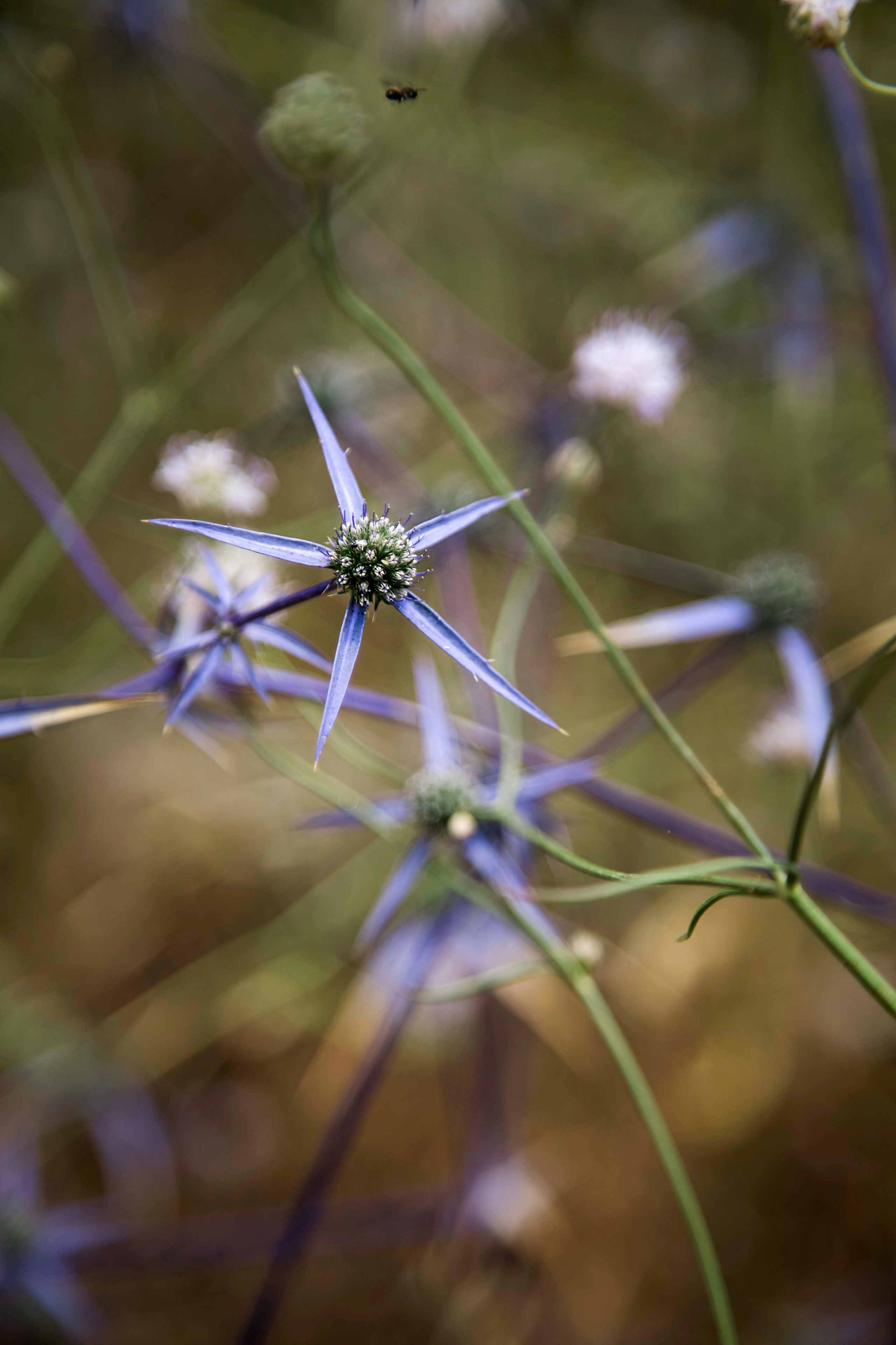 Lera. Семейный и детский фотограф в Санкт-Петербург. Natalia Fadel