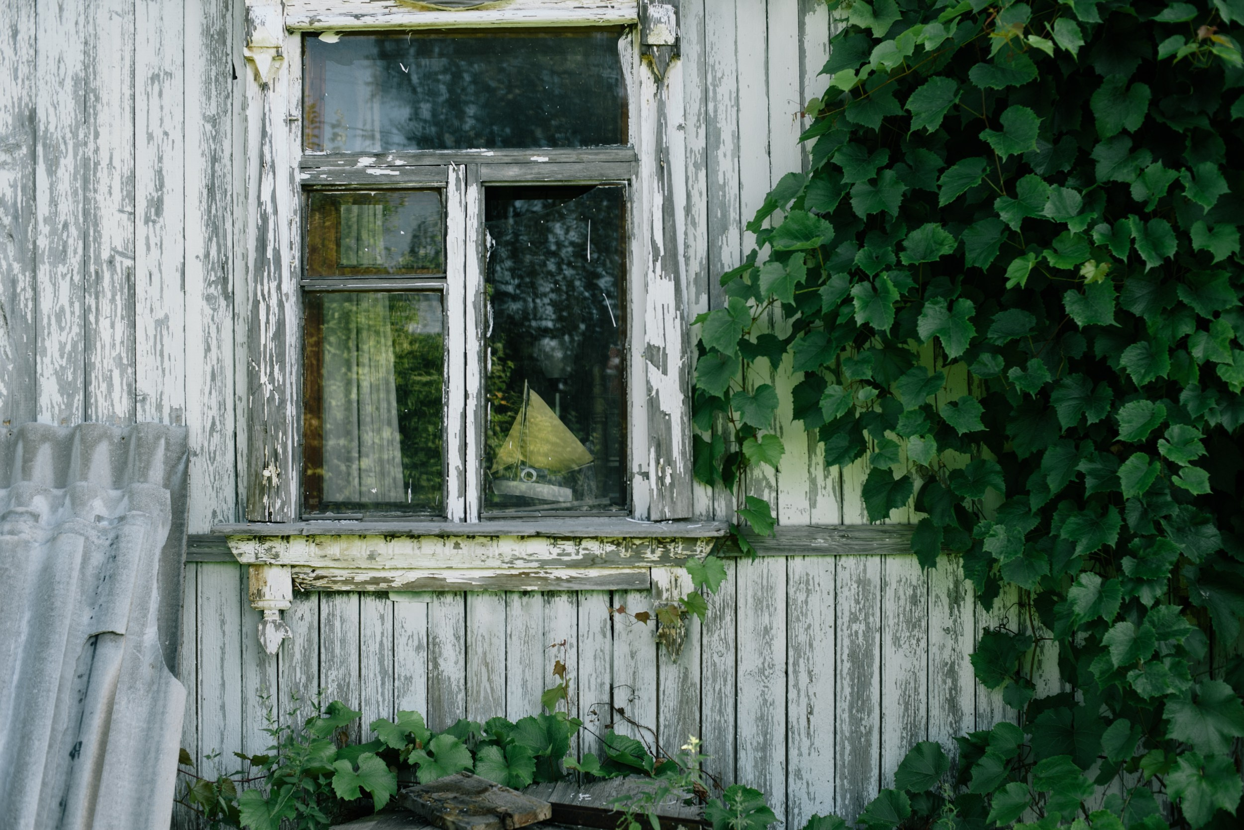 Summer Houses. Tatiana Sikorskaya