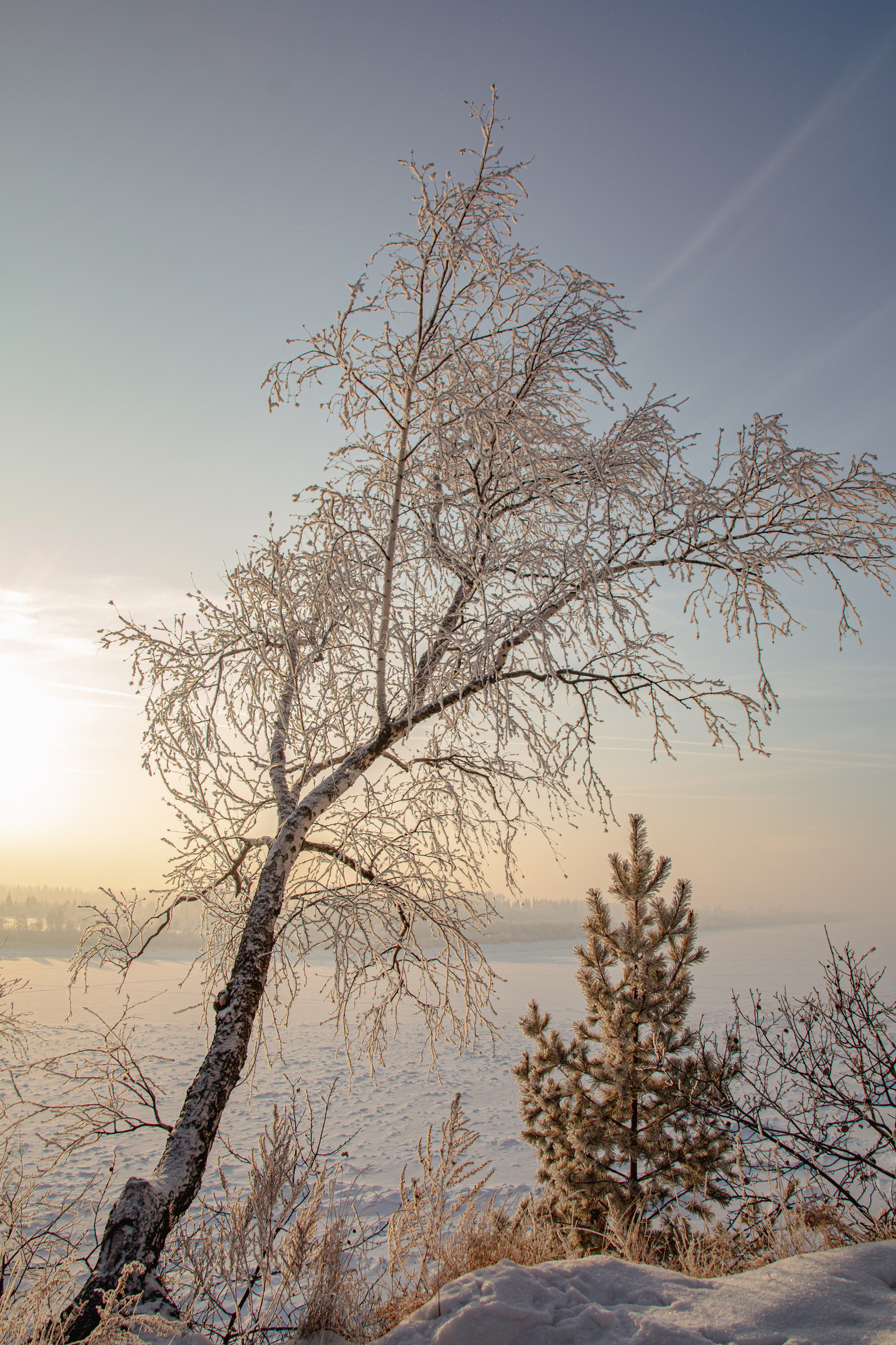 Зима. Ваш фотограф Северск | Томск