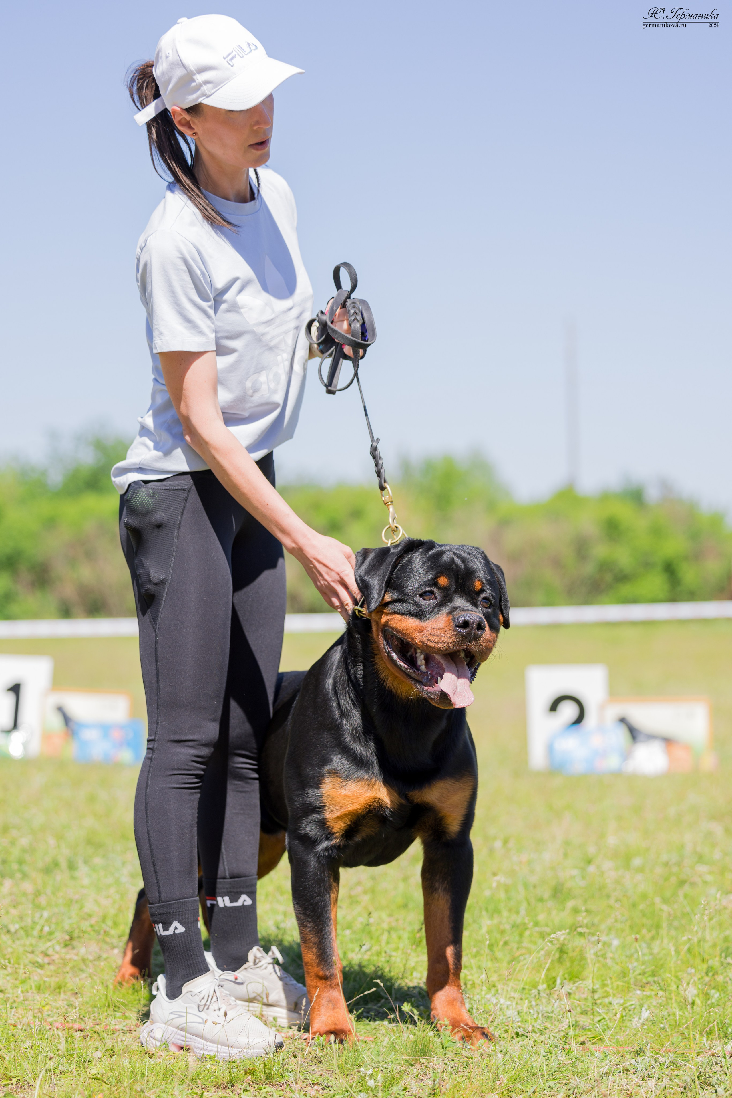 Воронеж моно ротвейлеров 25-26.05.2024. Фотограф-анималист Юлия Германика