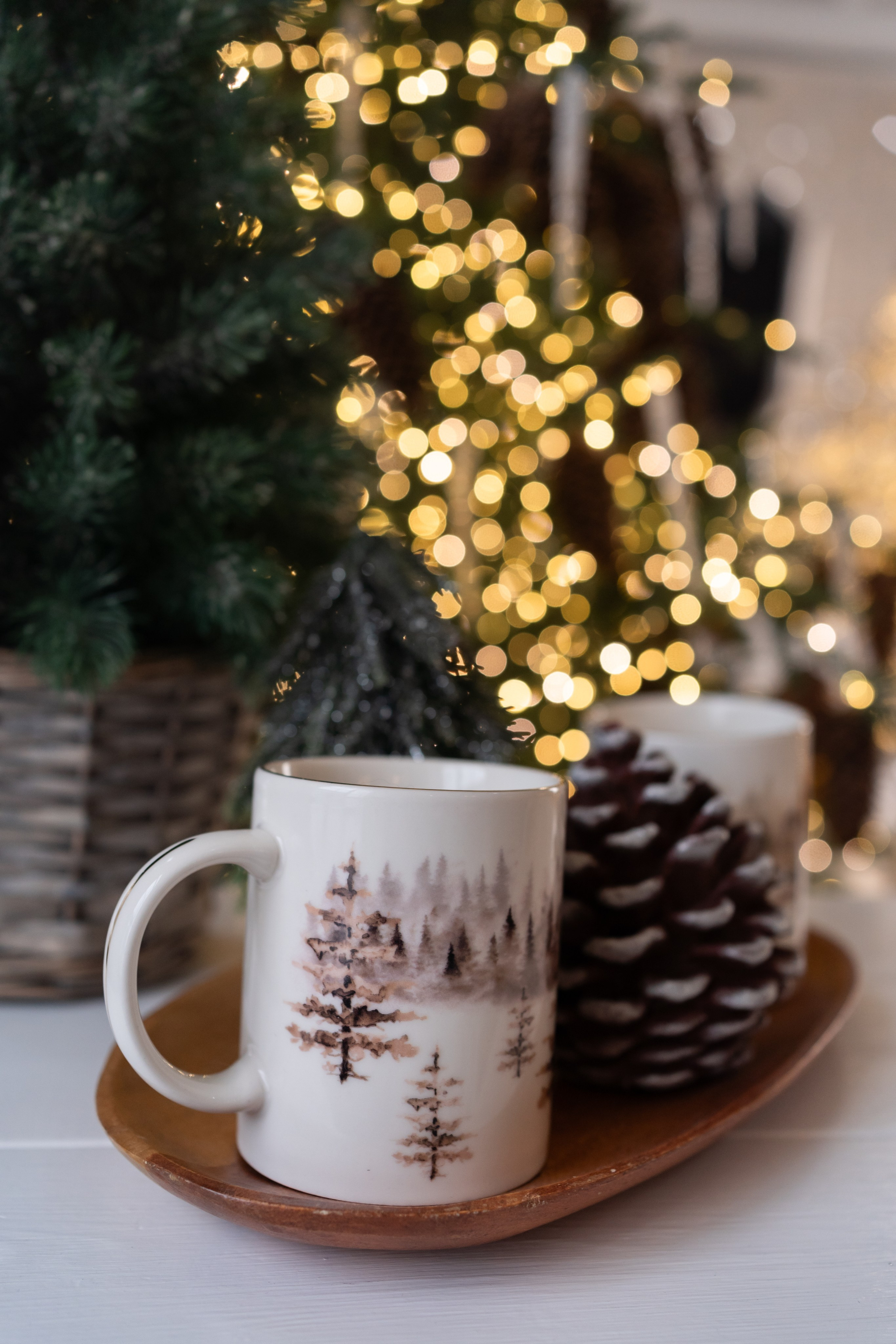 Семейные Новогодние истории. Свадебный и семейный фотограф в Омске Белозерова Александра