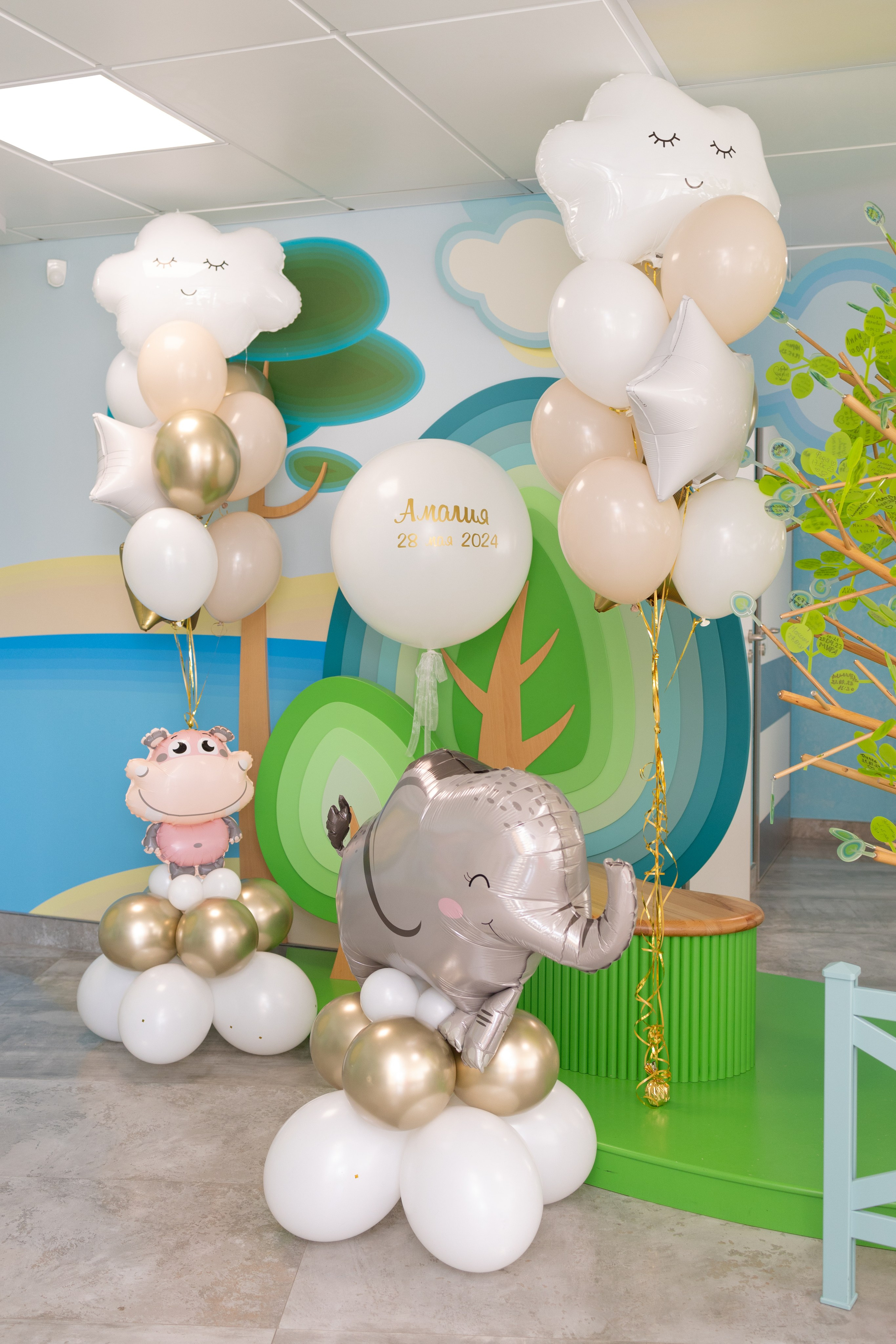 Фотограф в роддоме Сестрорецком г. Санкт-Петербург Банасиковская Ксения