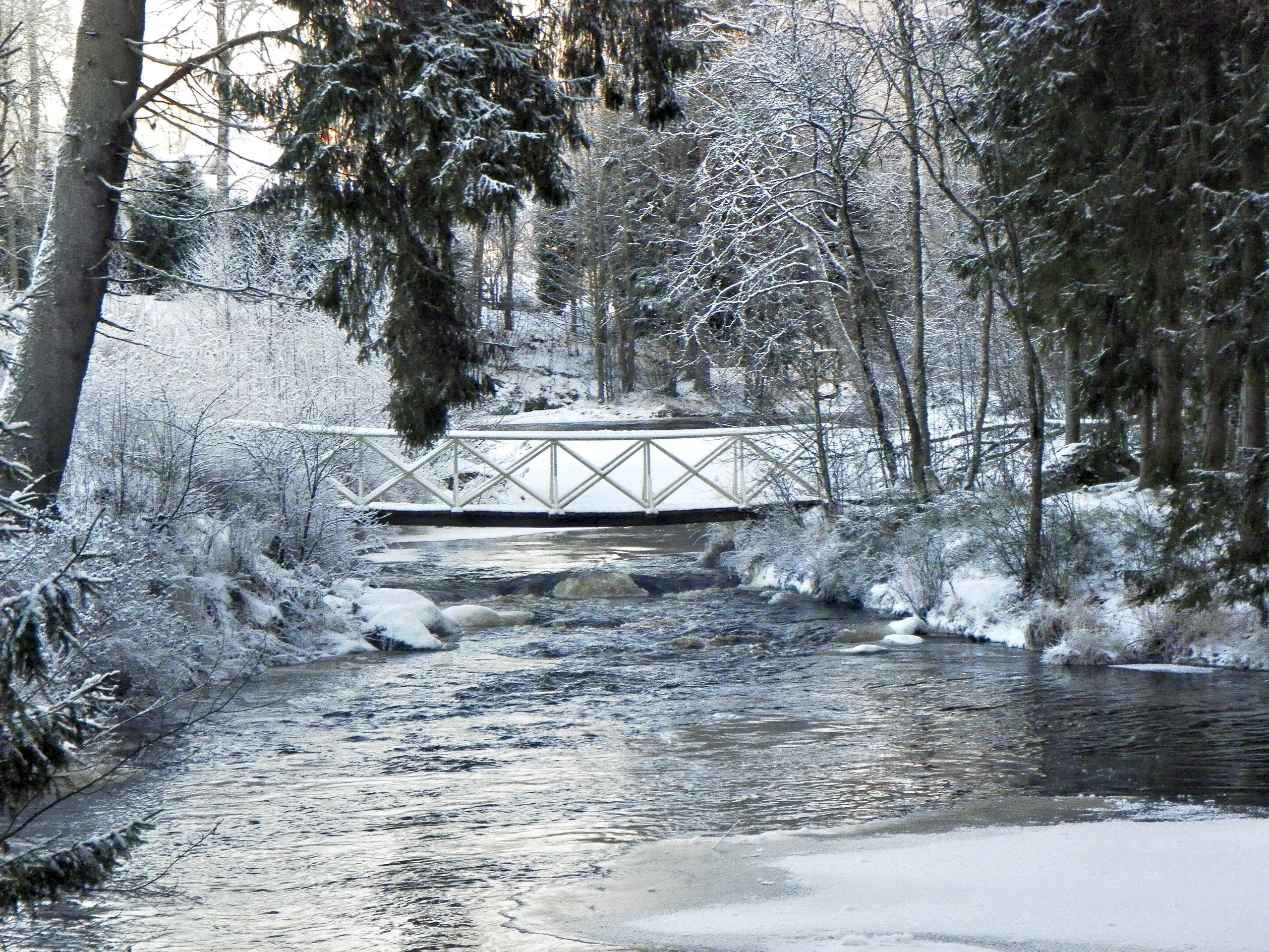 Экскурсия «Забытая Финляндия. Русская крепость, гроты, стихия воды и камня» (зима 2026). Автор: Марина Тихомирова