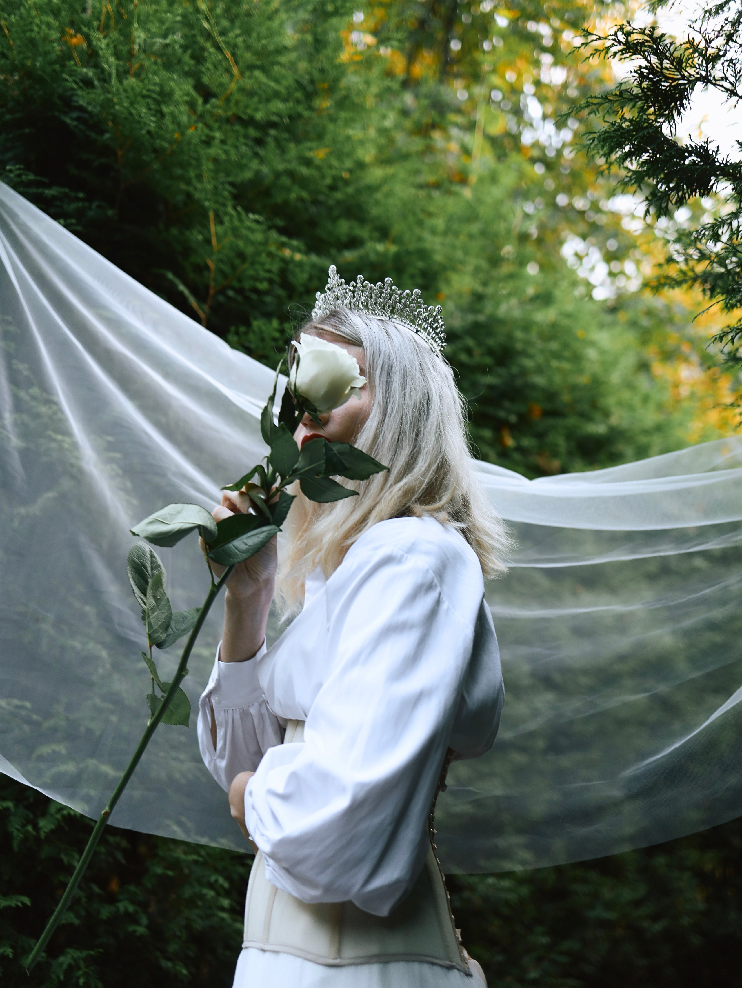 Алиса В Стране Чудес. Главная