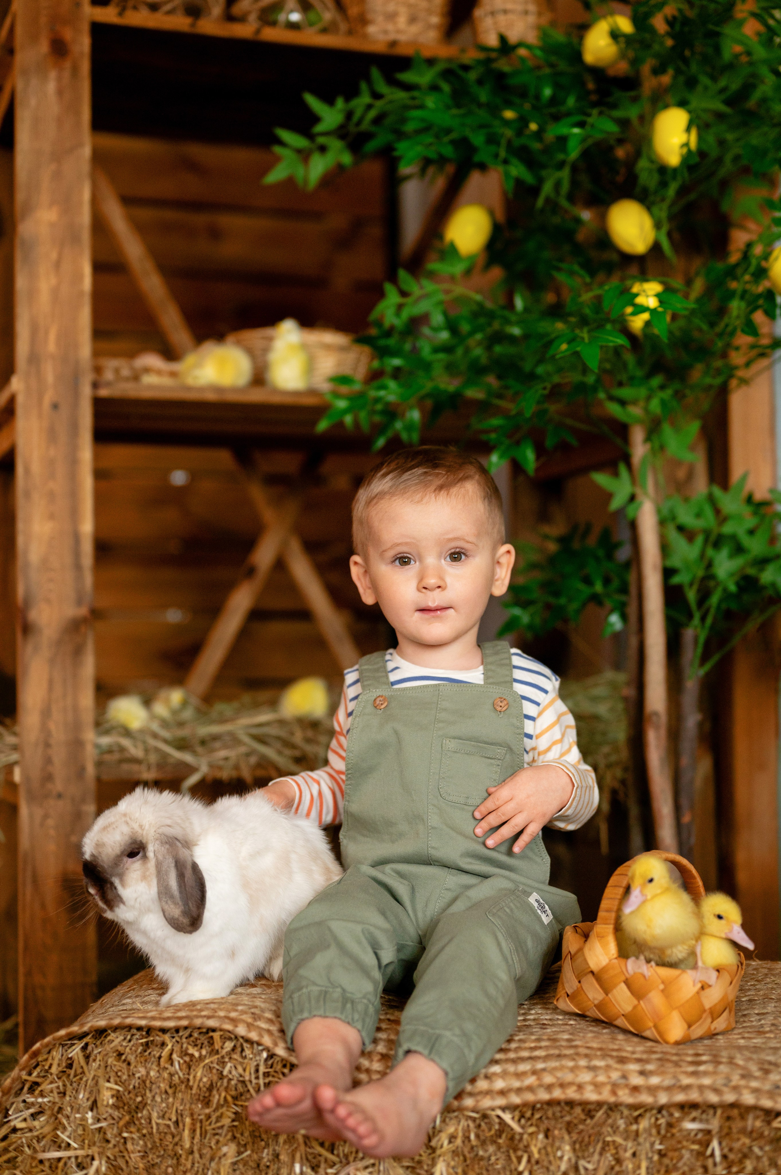 Нарния. Фотограф новорожденных, семейный детский в Тюмени Татьяна Морозова