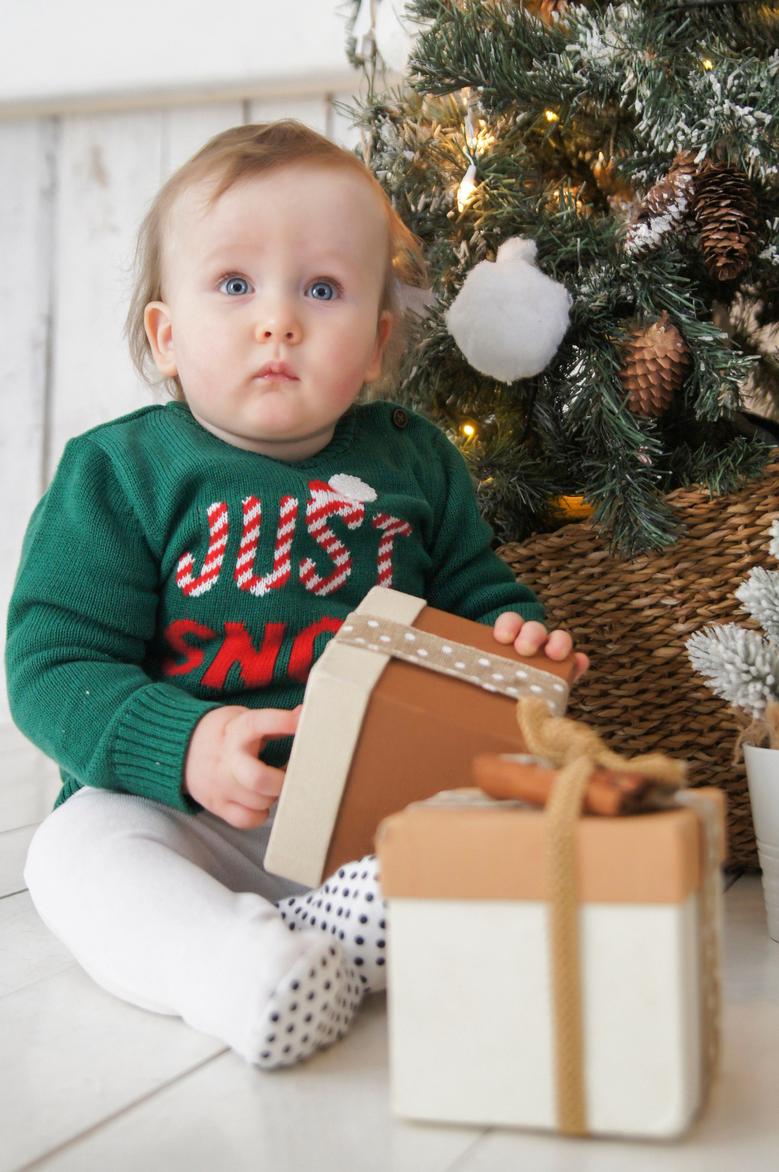 Новогодние радости. APPHOTOGRAPHY | Фотохудожник Анна Камчатная