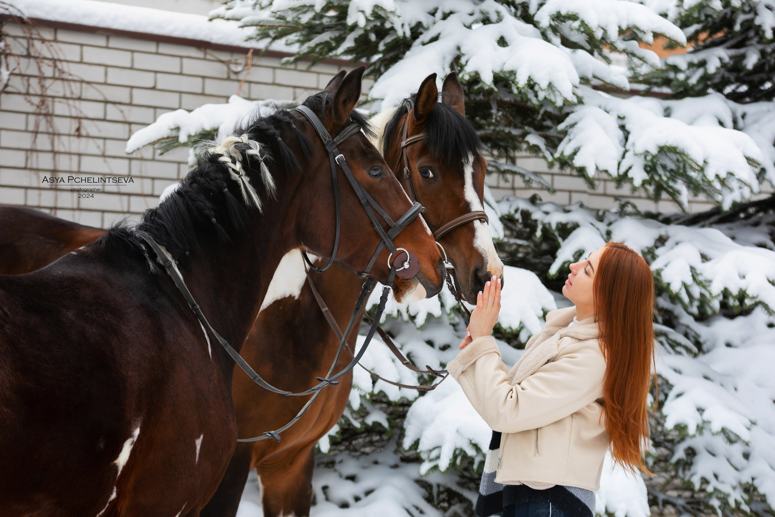 Баядера. Ася Пчелинцева, фотограф в СПб и ЛО