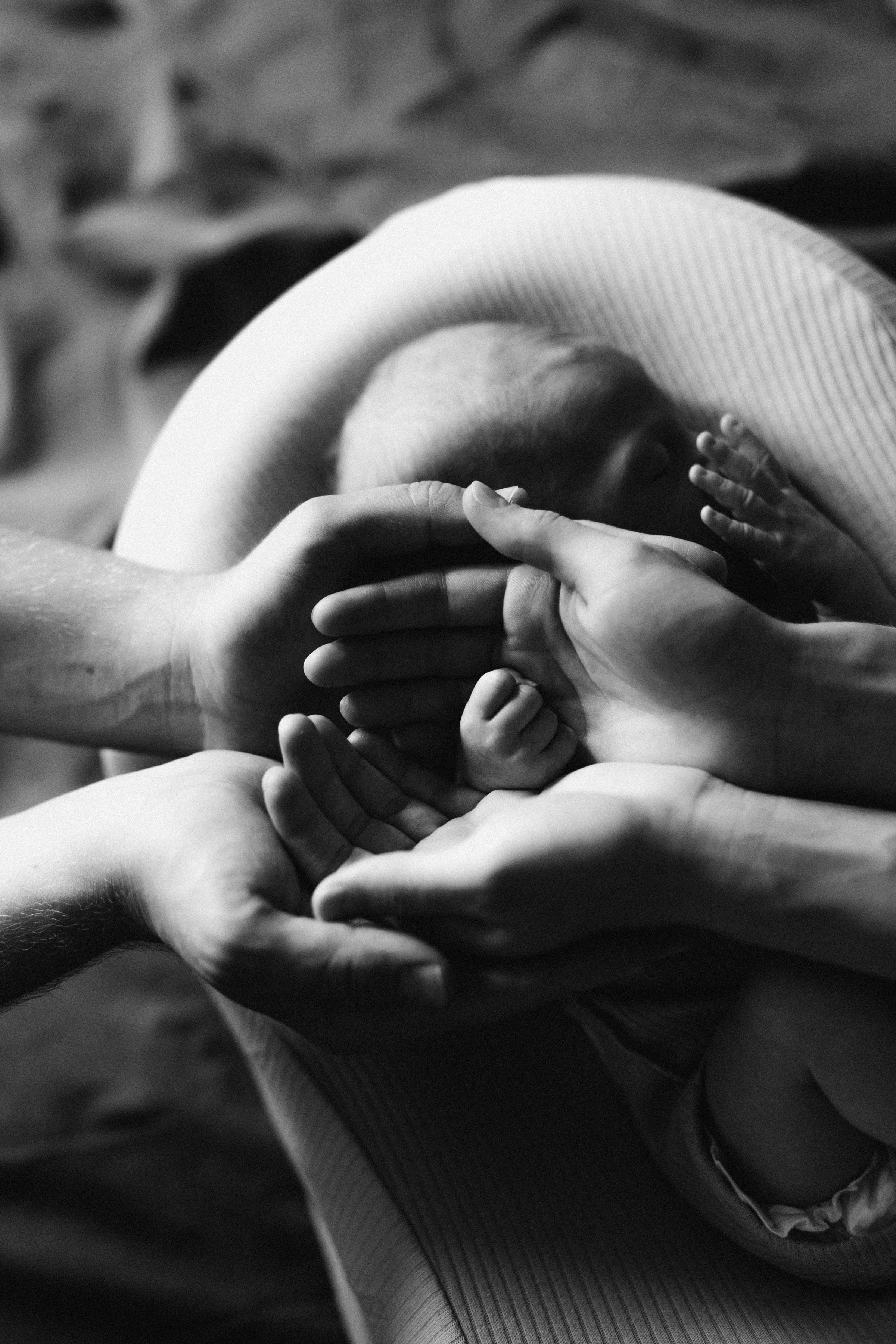 Нью борн домашняя. Семейный фотограф в Волгодонске Краченцева Анна