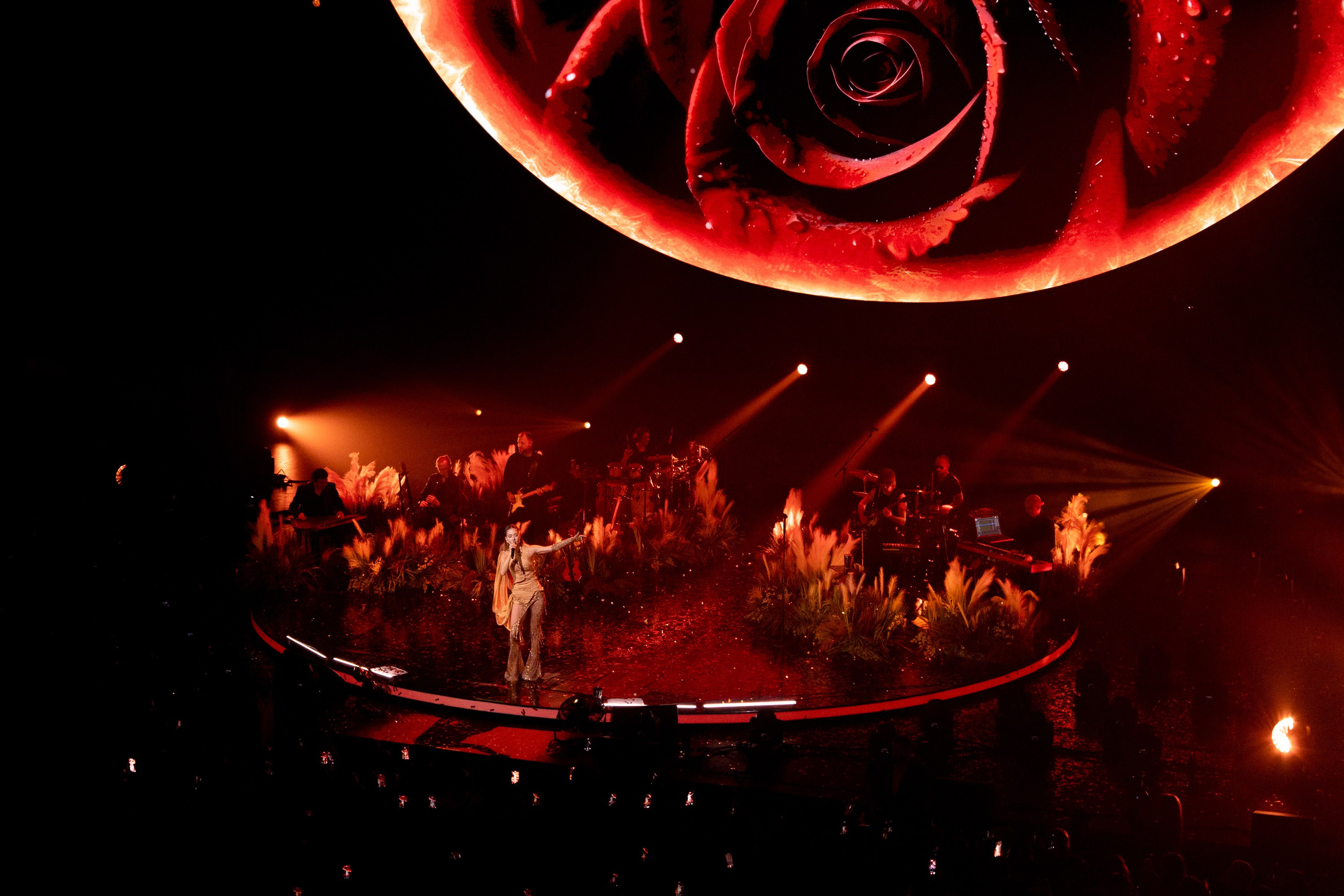 Юля Паршута. Магия музыки в кадре: Концертная Фотография