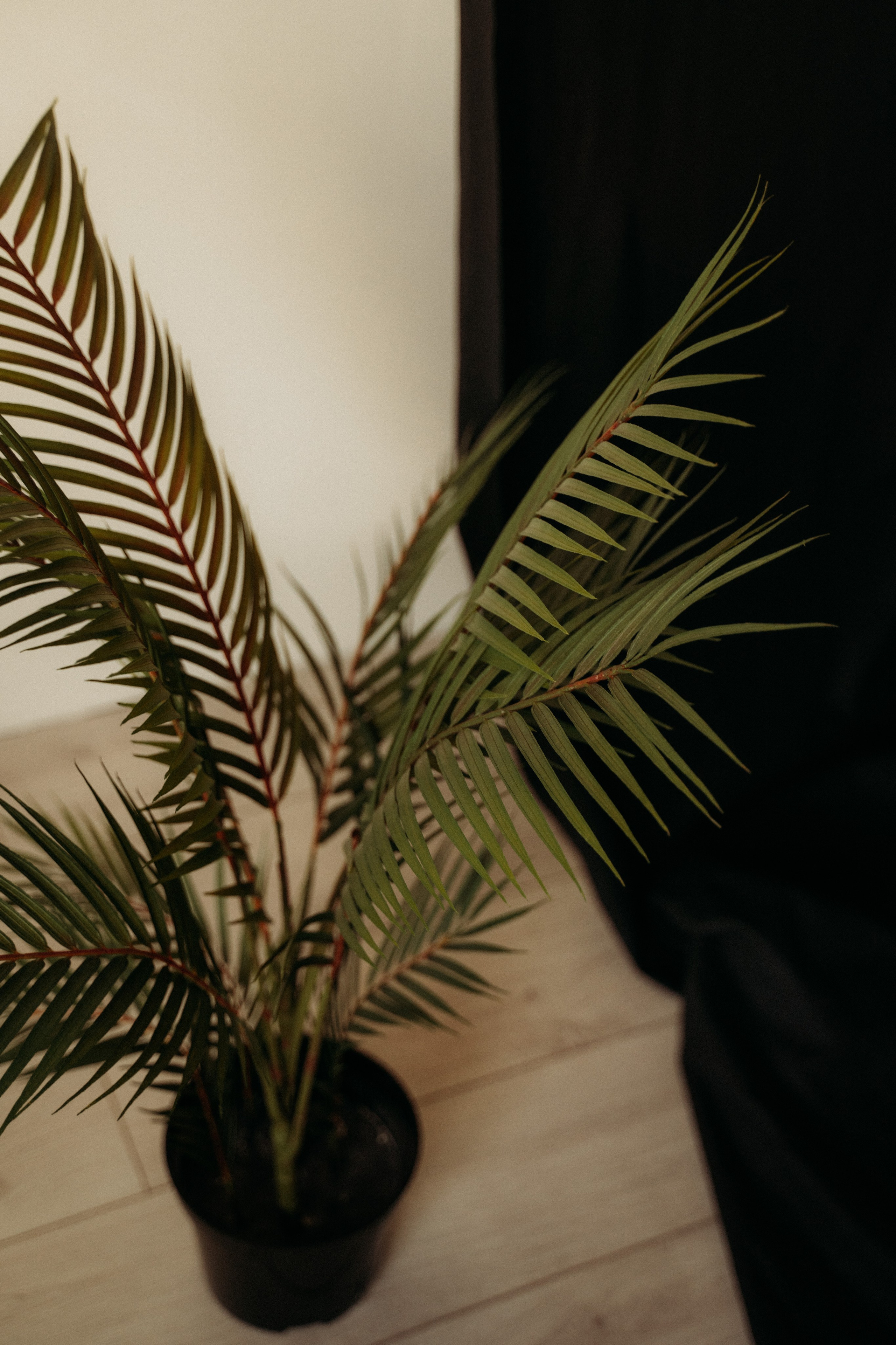 Студийные Локации