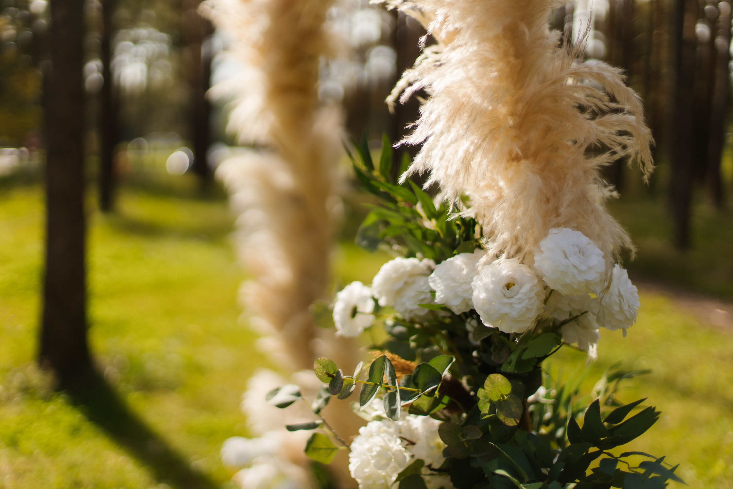 Павел и Ольга 06.09.25. Индивидуальный, семейный и свадебный фотограф
