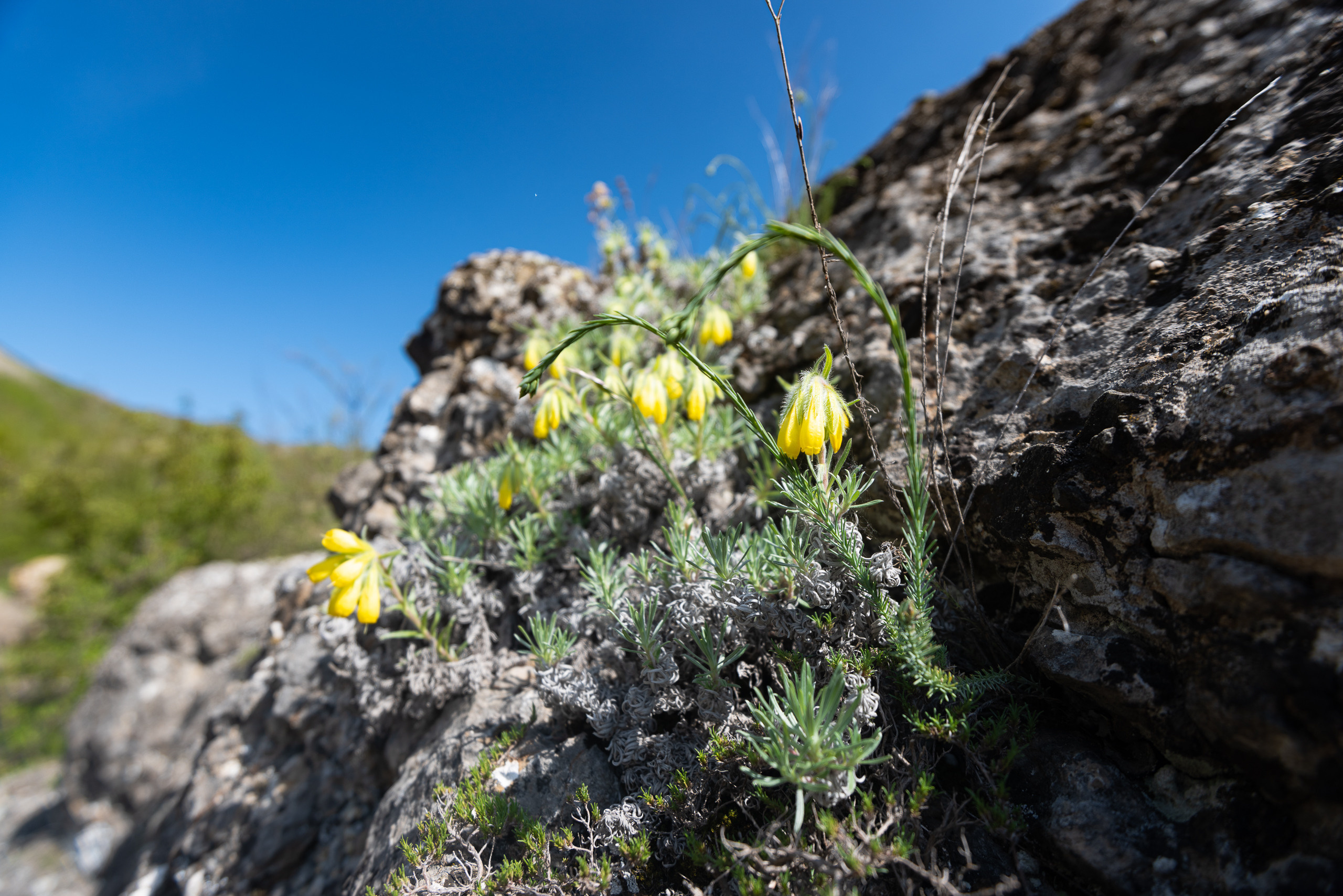 Крым. Портретный фотограф Белград Матвей Кармаков