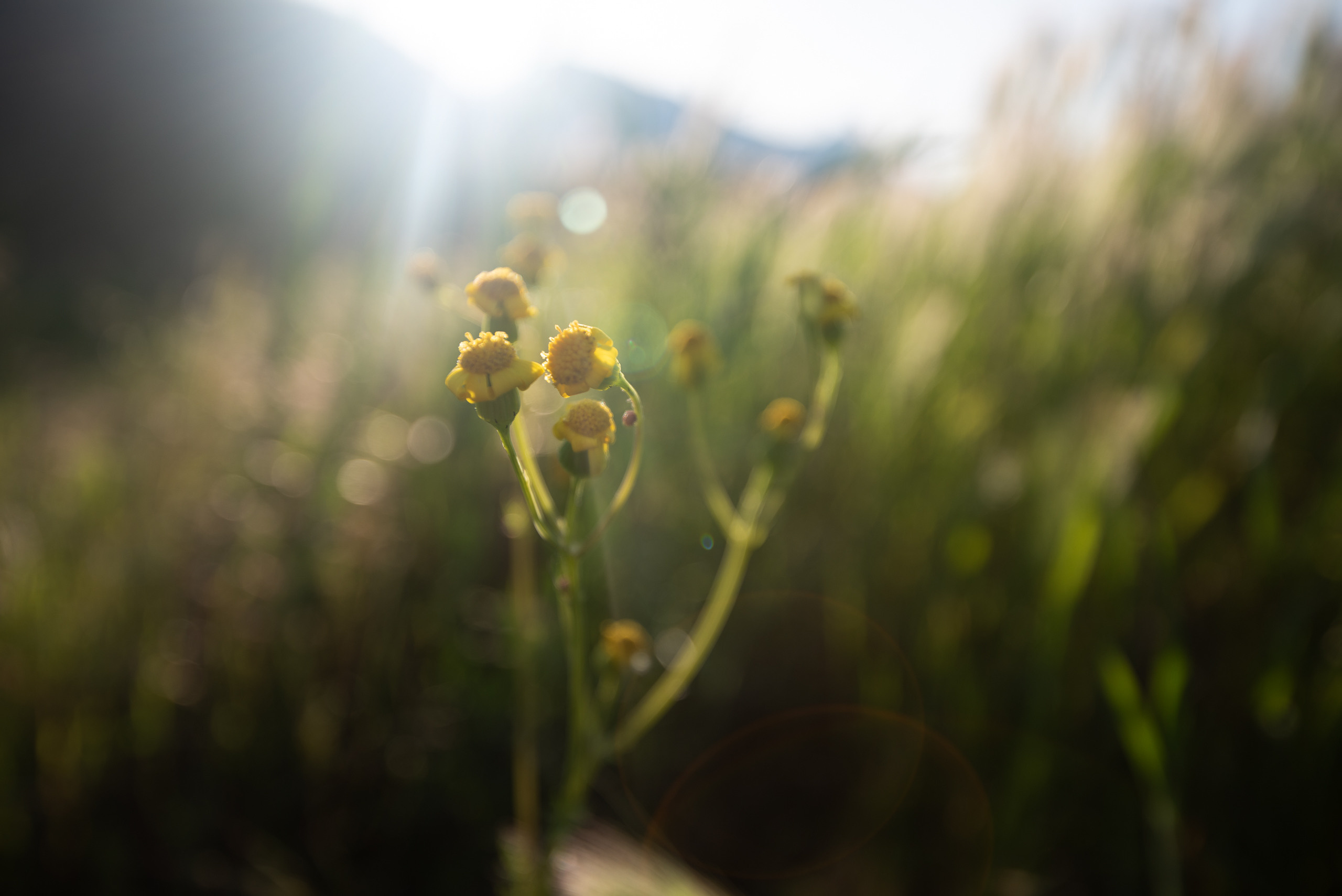 Крым. Портретный фотограф Белград Матвей Кармаков