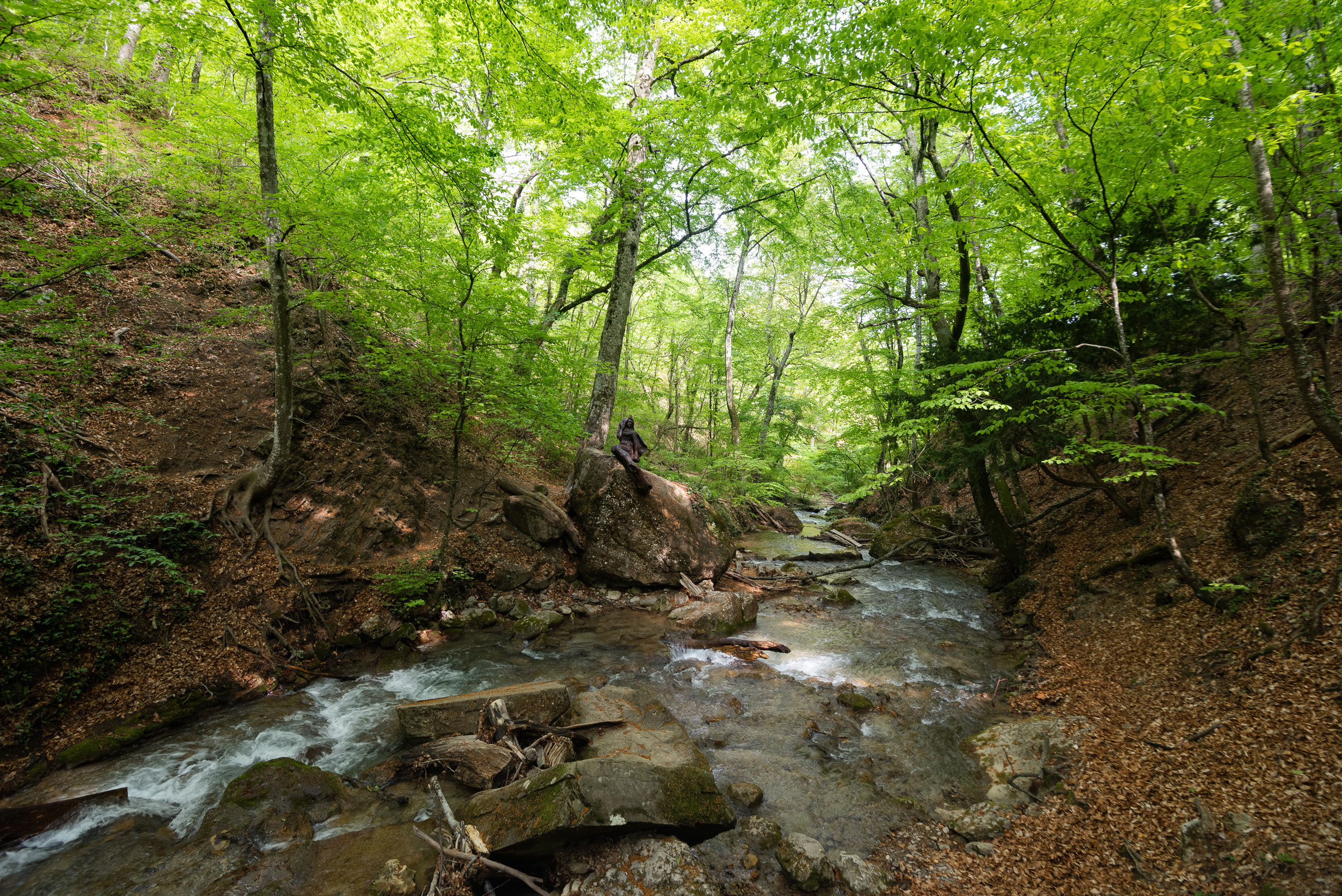 Крым. Портретный фотограф Белград Матвей Кармаков