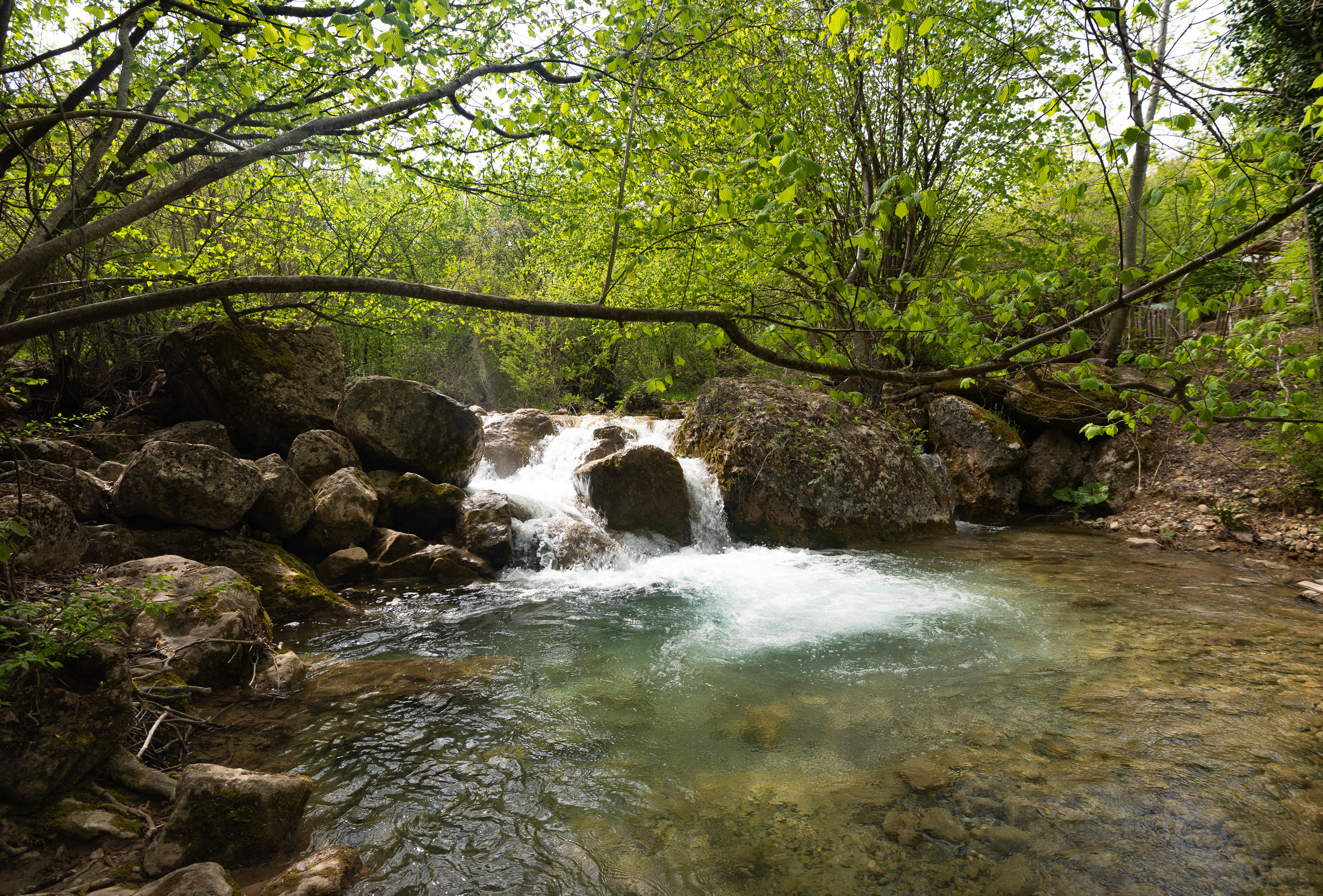 Крым. Портретный фотограф Белград Матвей Кармаков