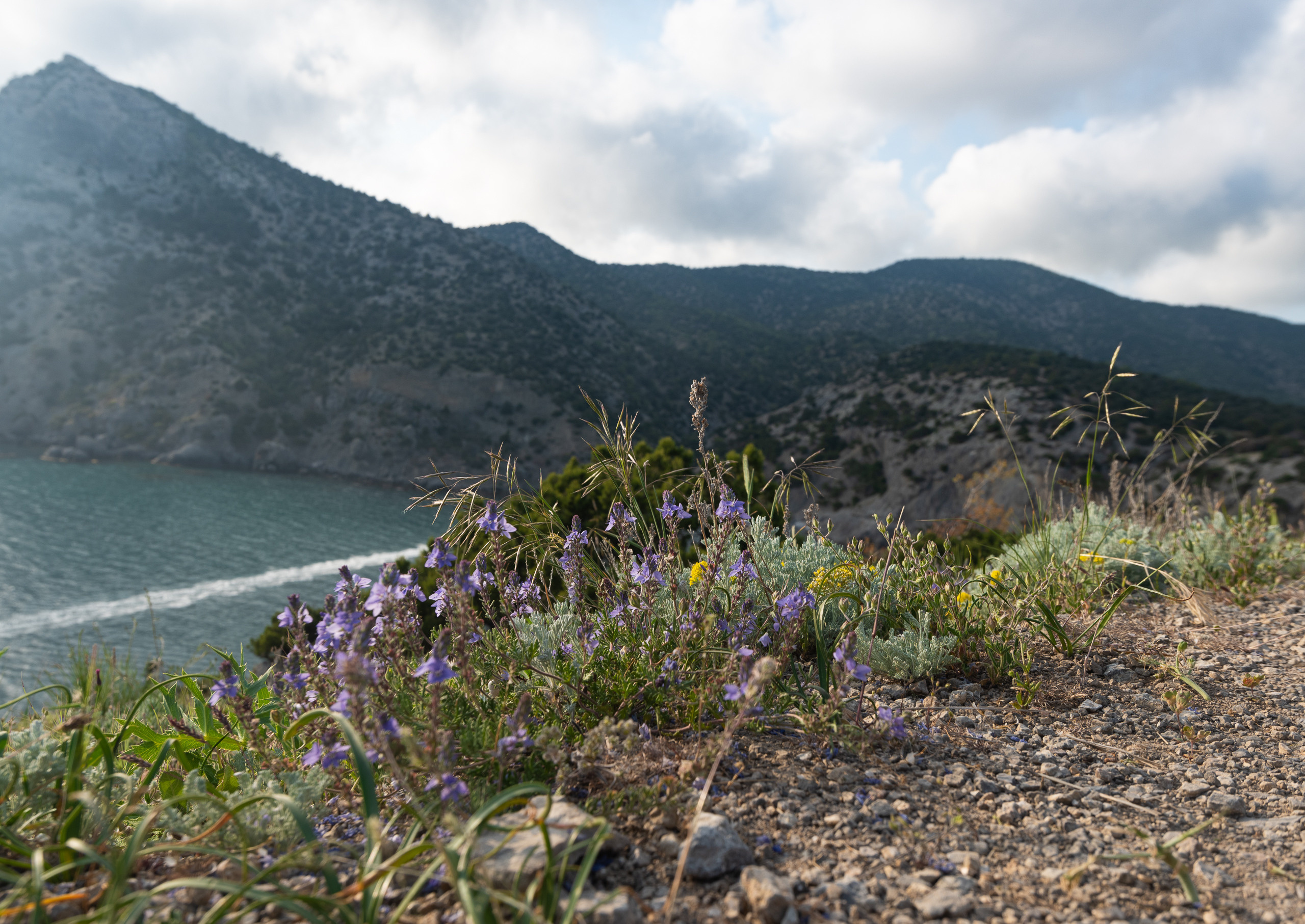 Крым. Портретный фотограф Белград Матвей Кармаков