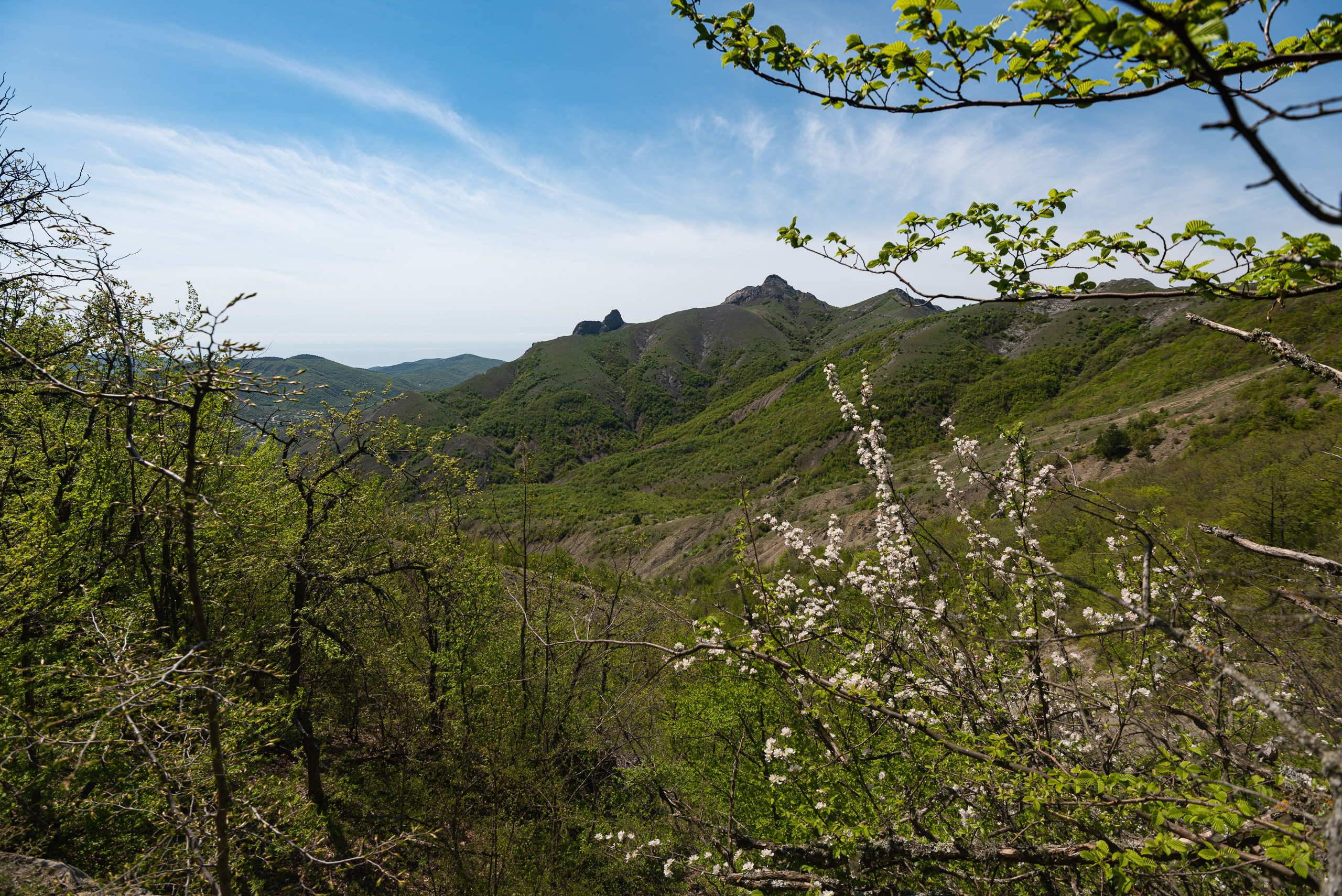 Крым. Портретный фотограф Белград Матвей Кармаков