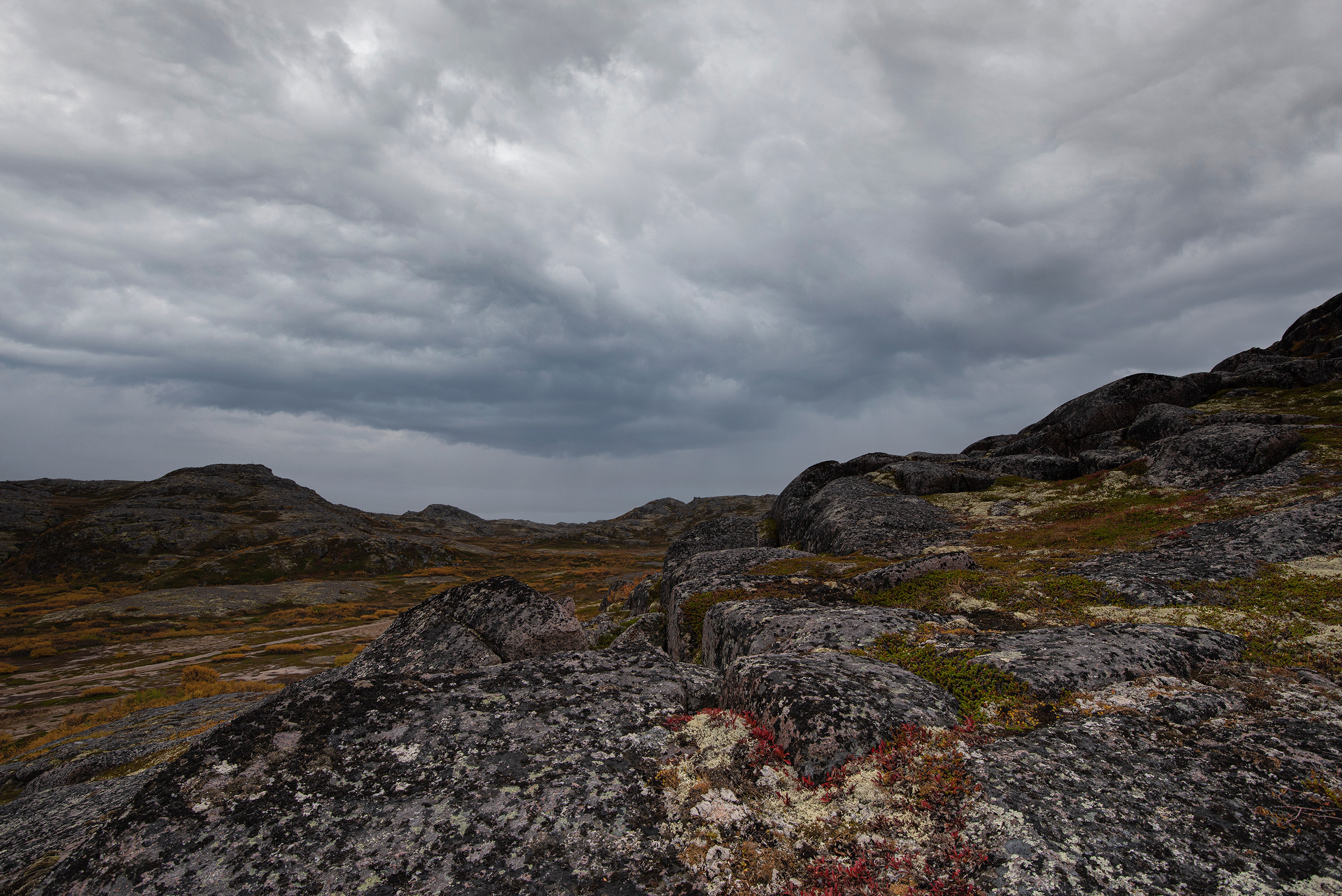Териберка. Портретный фотограф Белград Матвей Кармаков