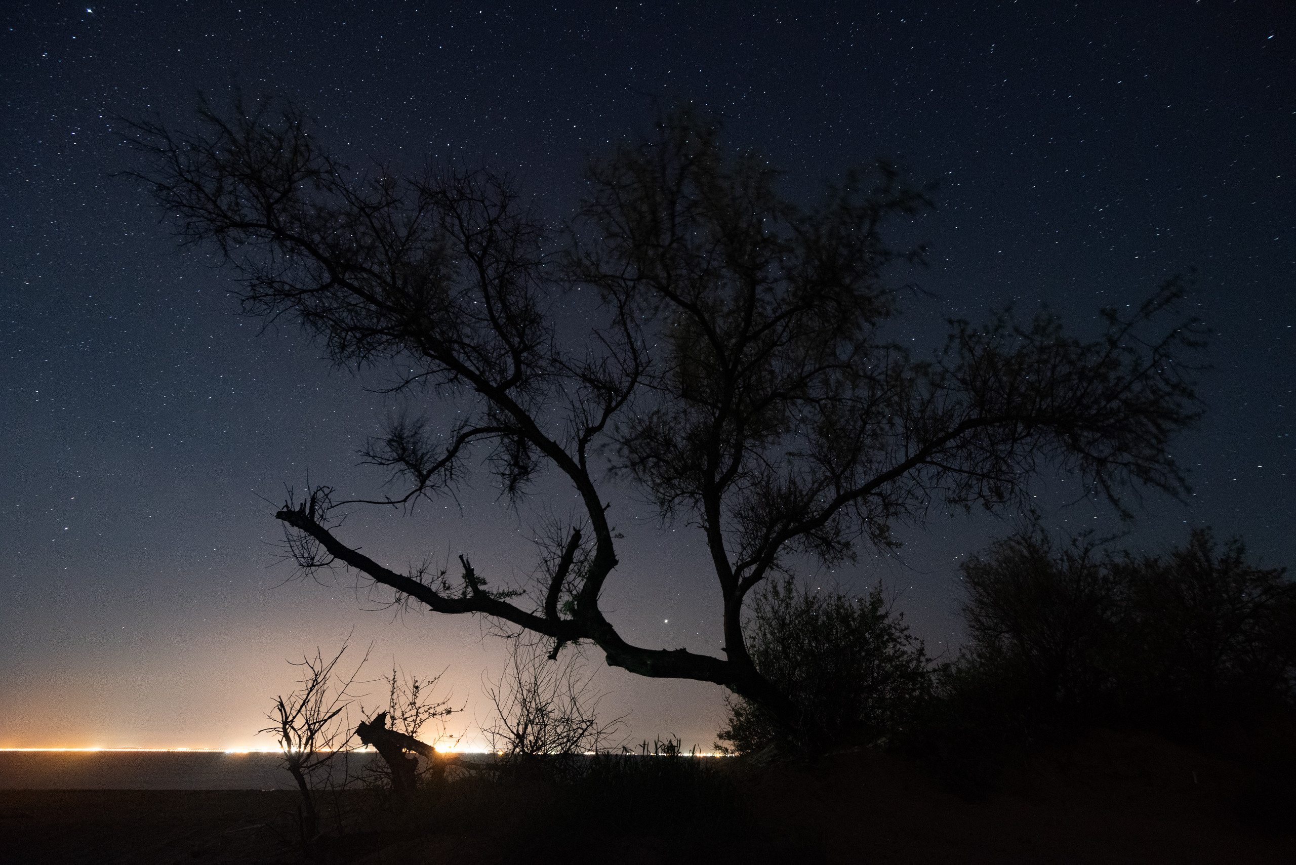 Крым. Портретный фотограф Белград Матвей Кармаков