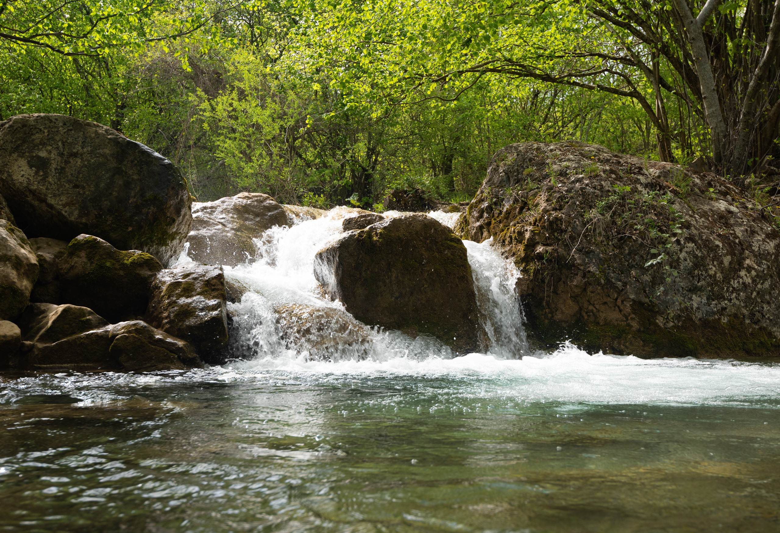 Крым. Портретный фотограф Белград Матвей Кармаков
