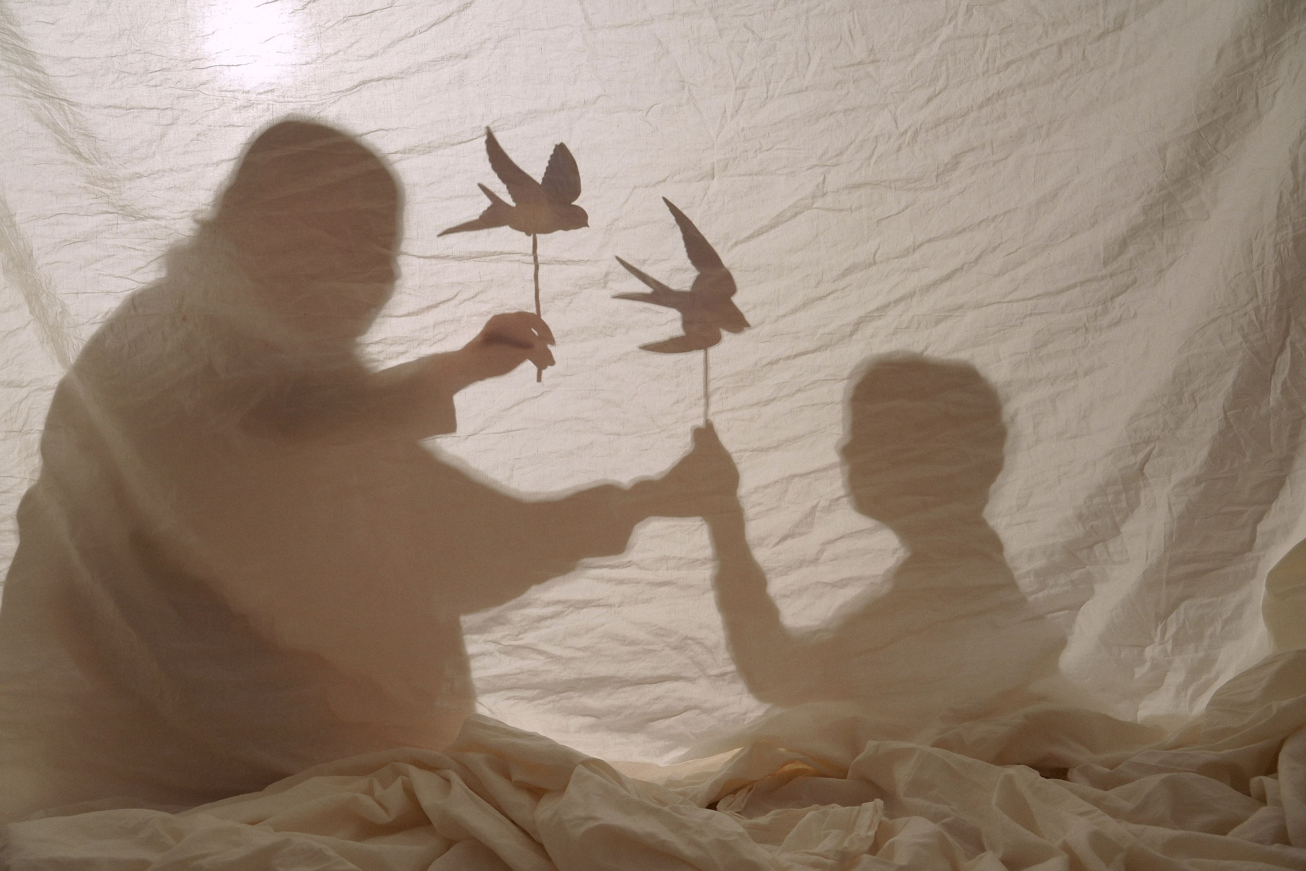 Фотопроект тень. Детский, семейный фотограф: newborn, беременность, годовасие, репортаж. Москва