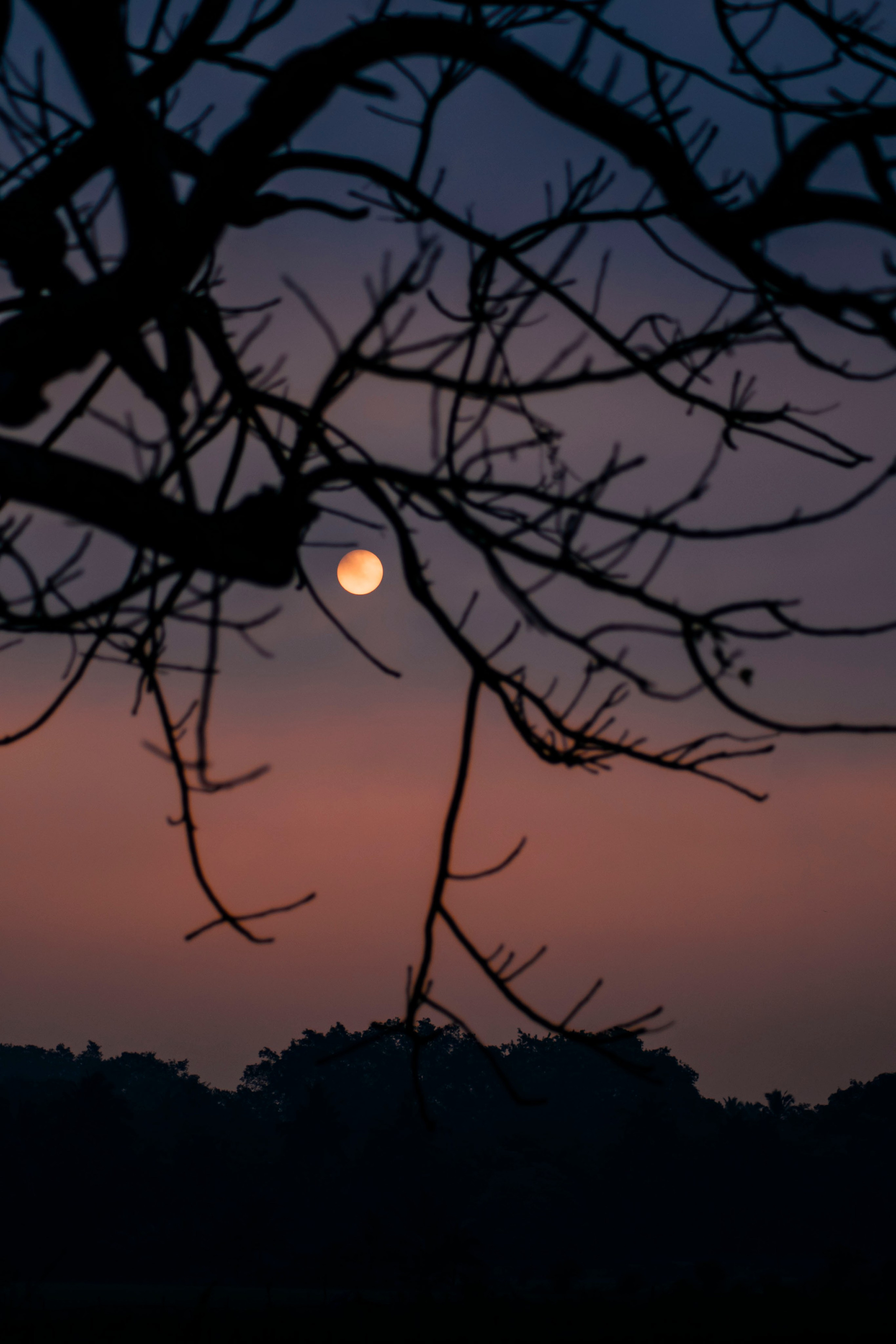 Гоа. индия. Iraogo