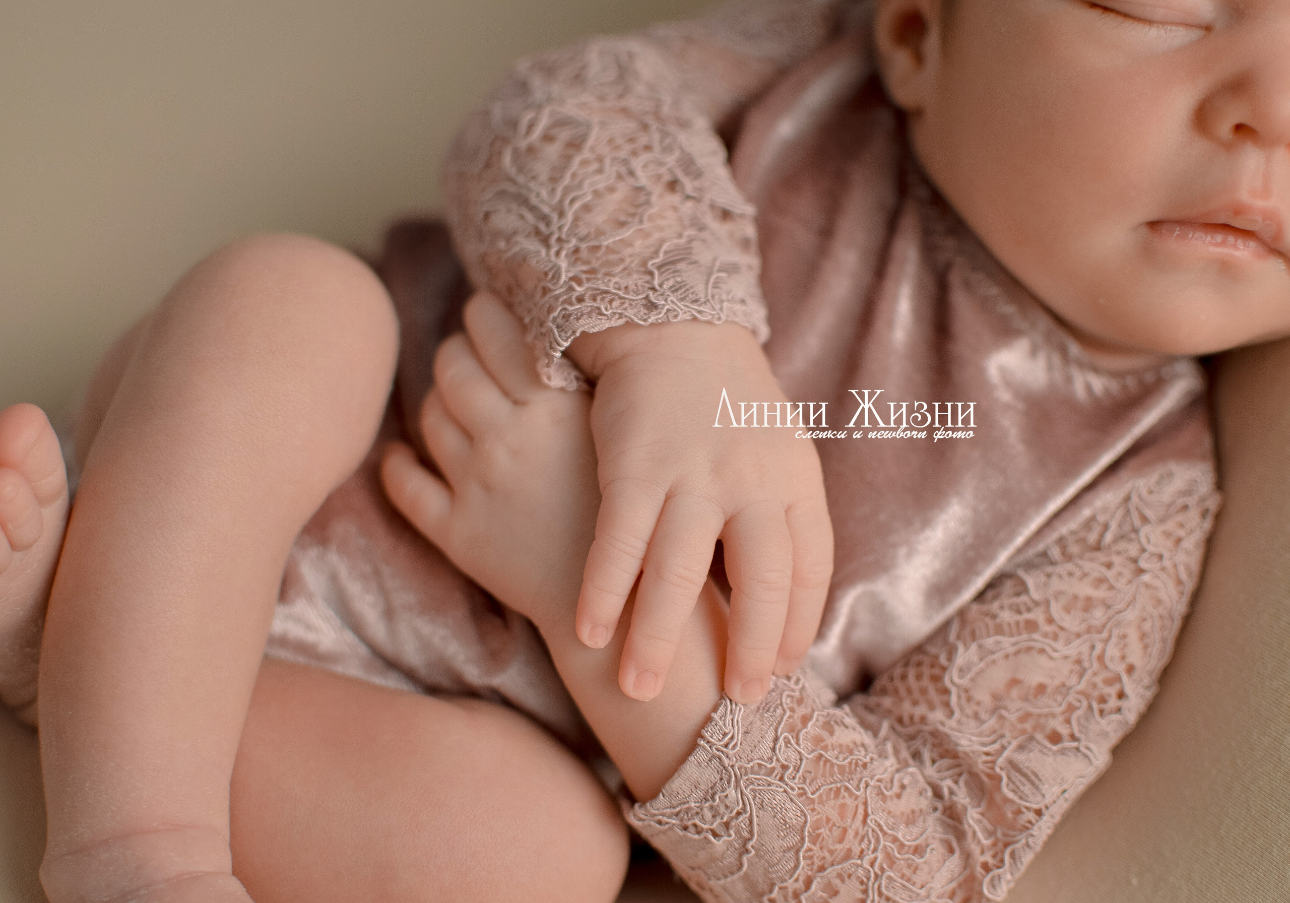 София 10 дней. Фотограф новорожденных в Нижнем Новгороде Сергеева Оксана