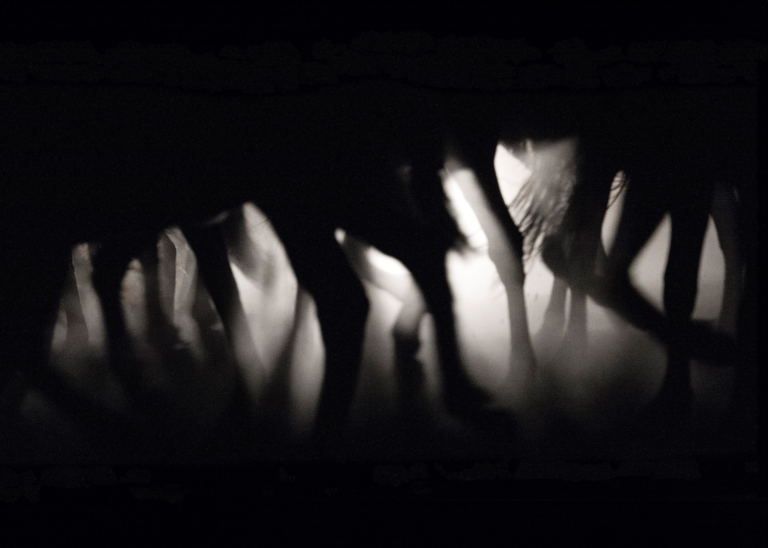 HORSES. LUMEN DUO Art photography for interiors