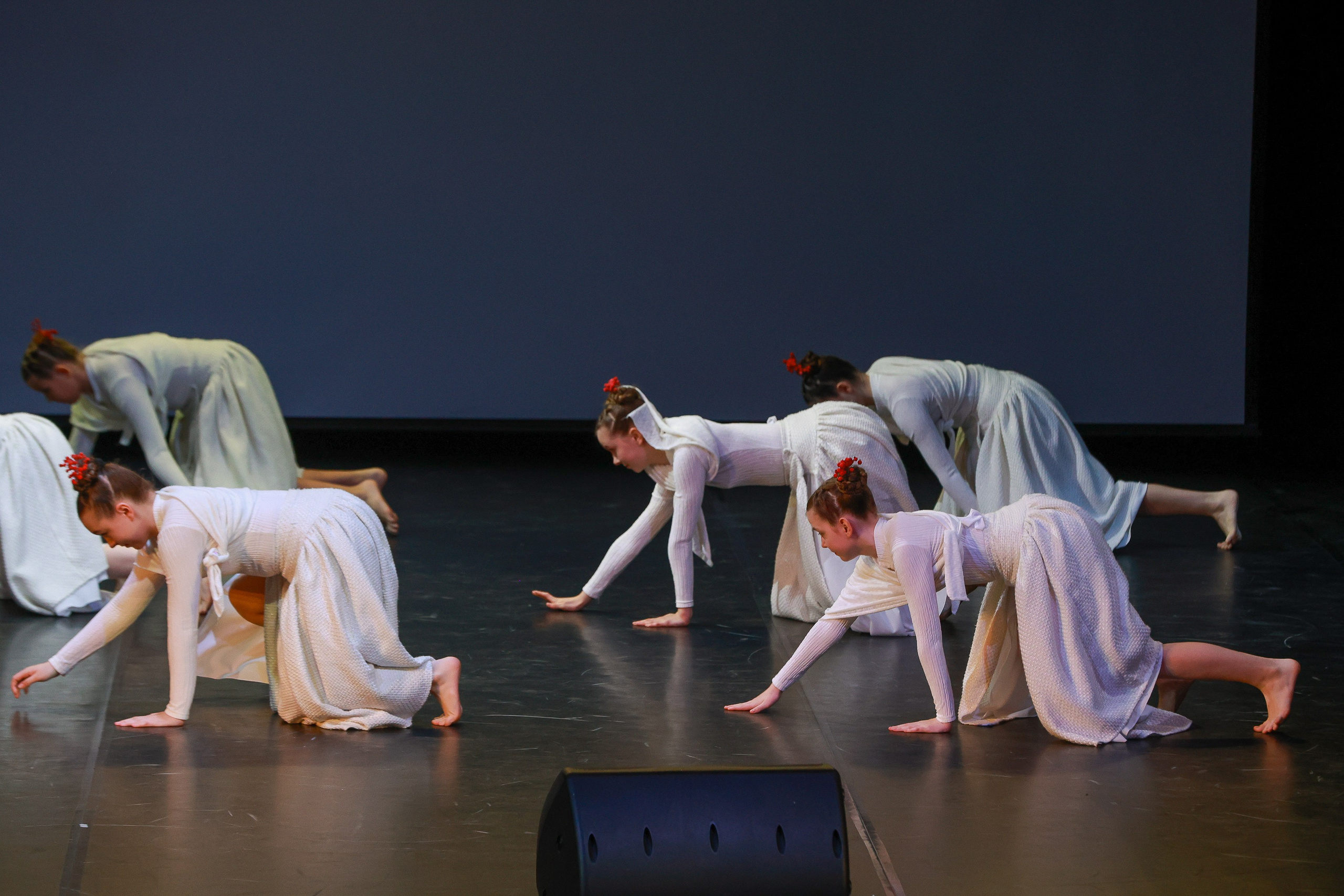 Небесные ласточки на Танц ЭКСПО 2026. Фотограф Юлия Мальцева