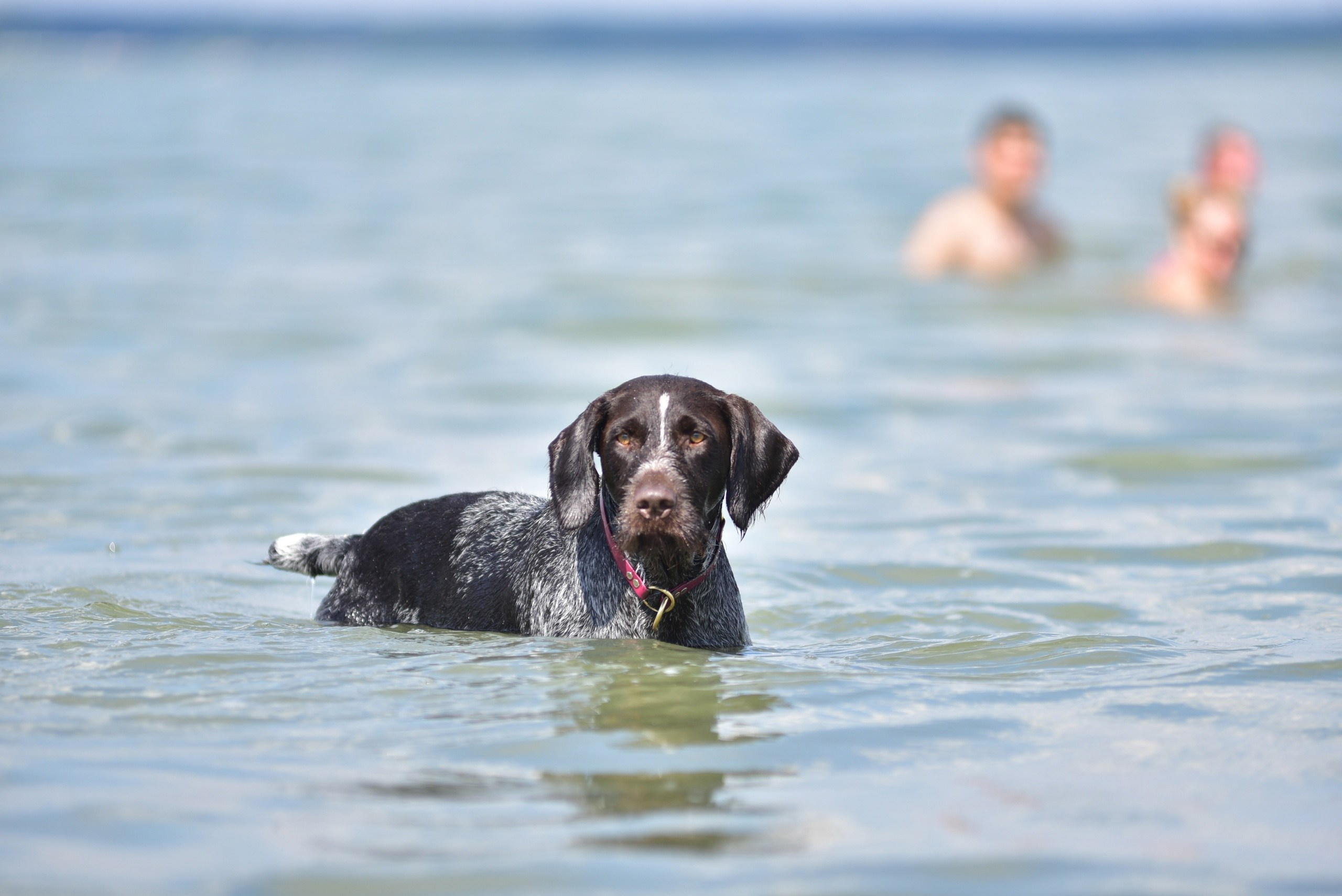 Фотографии. Главная