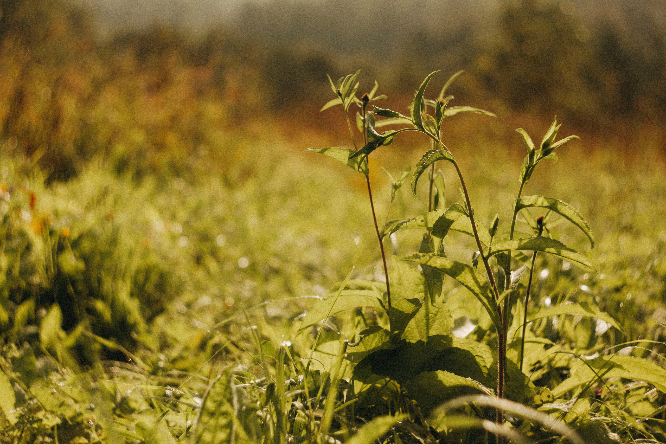 Поход. Ваш портретный фотограф в Москве Катя Прокофьева