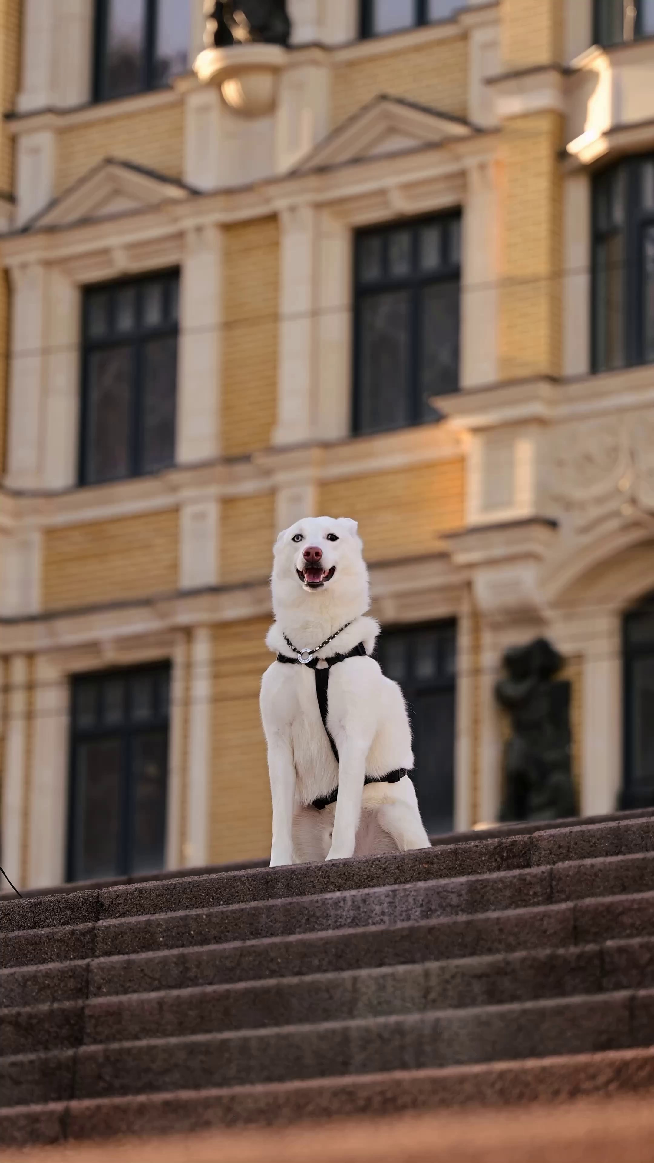 Видео рекламная/бренд. Мила Астахова