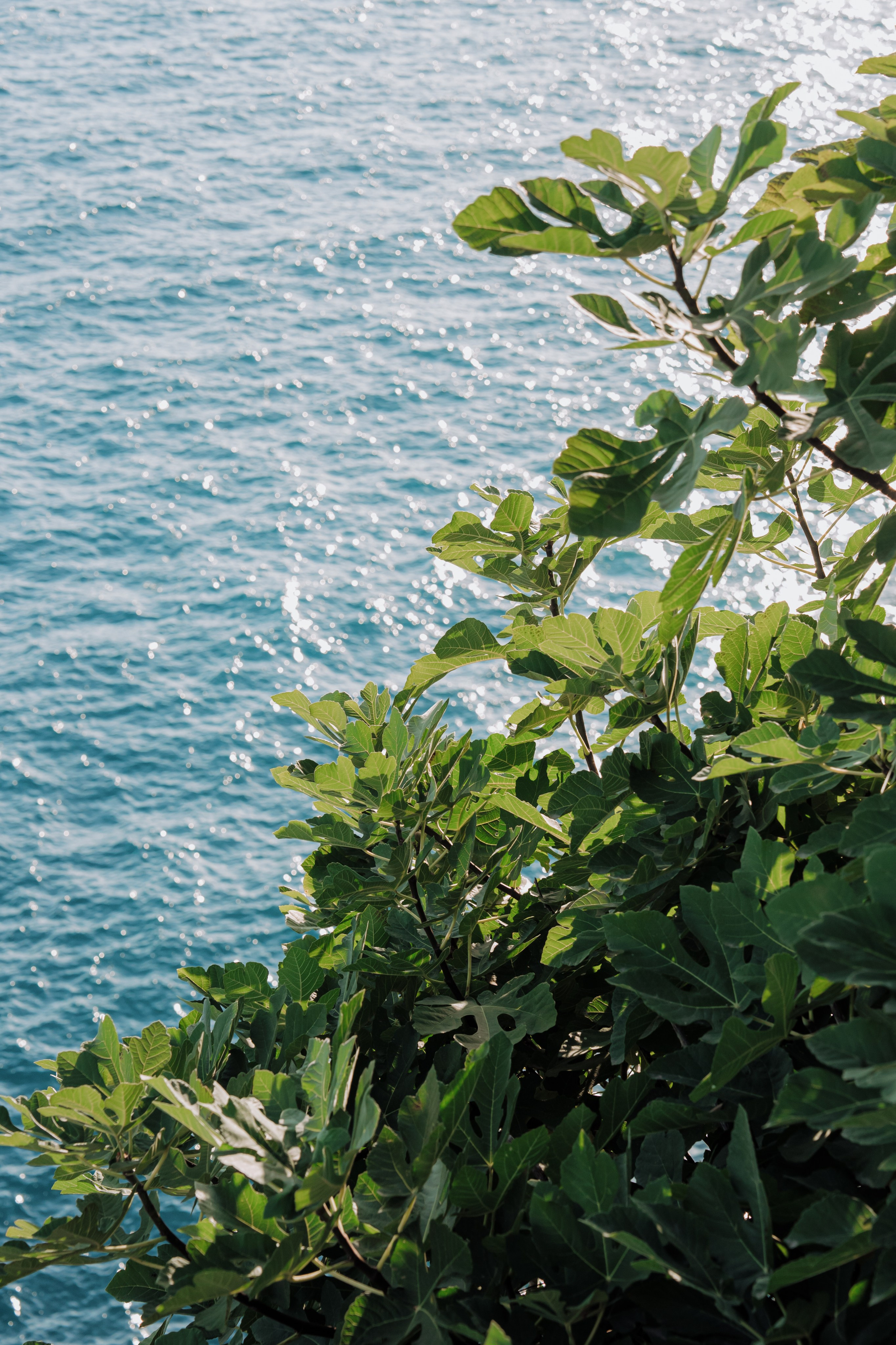 Antalya Akra. Wedding & Documentary Photographer based in Nuremberg — available across Europe & Turkey | Vitalii Nasonov