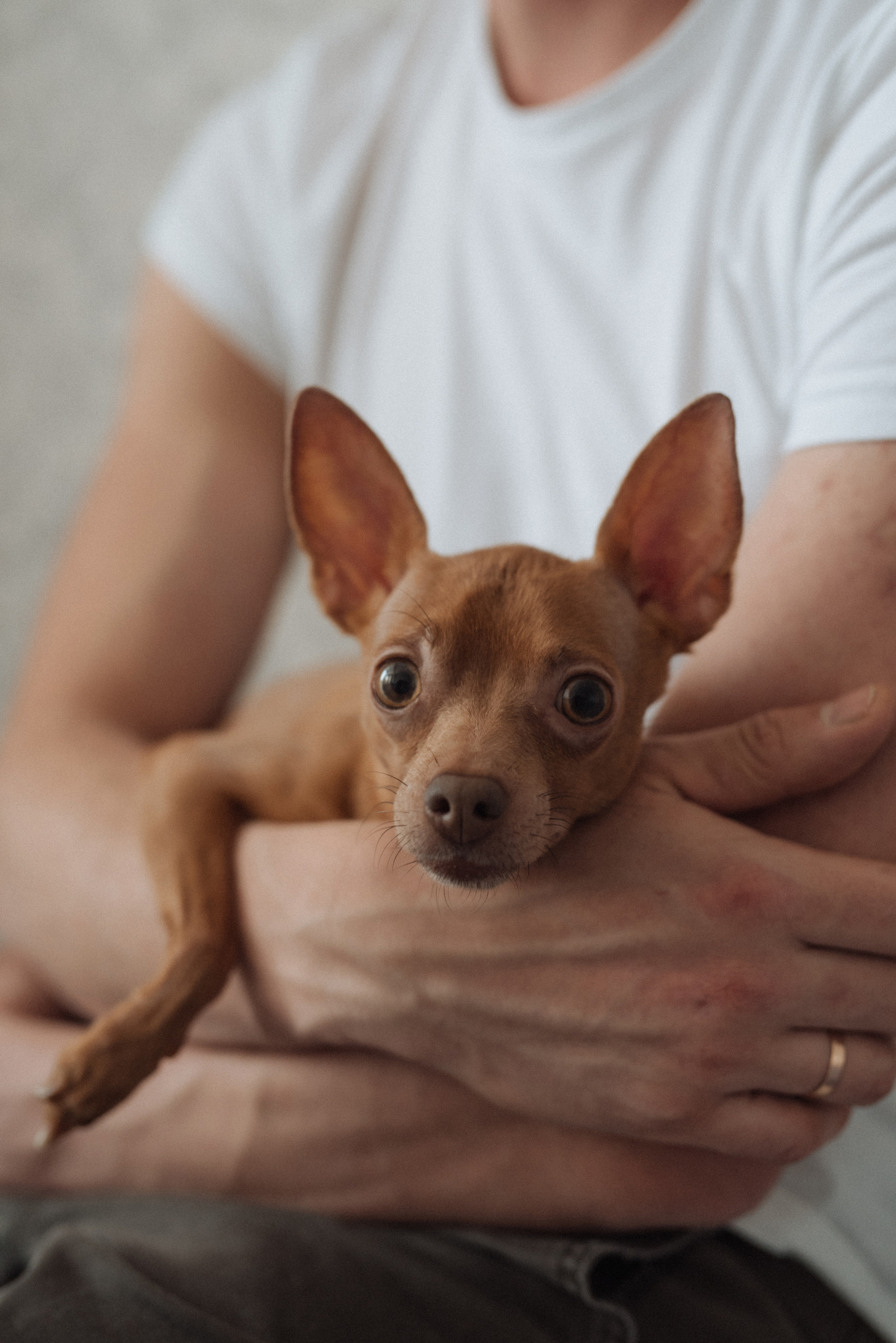 Валерия. Свадебный, портретный, фотограф беременности в Нижнем Новгороде Алина Зиновьева